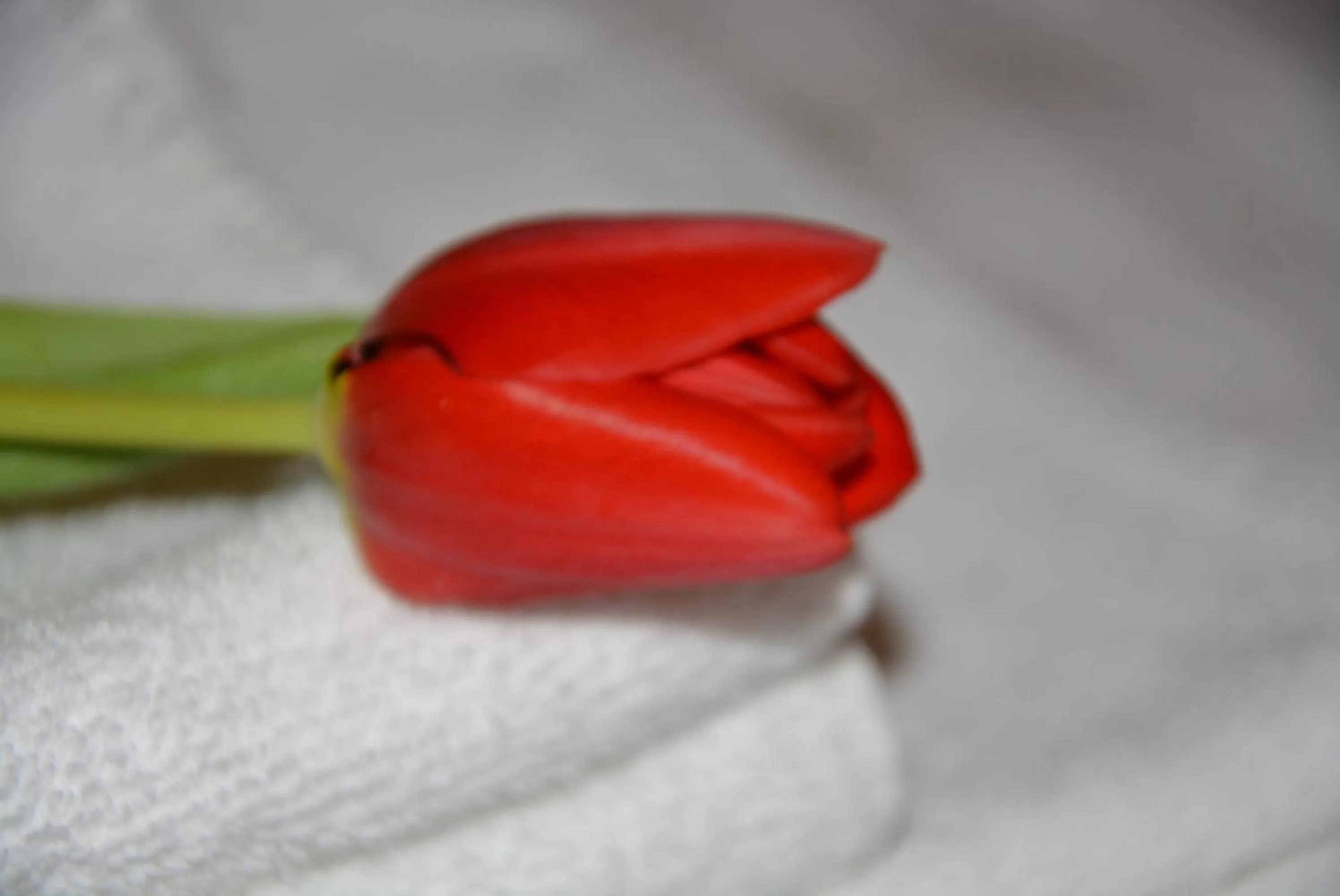 Decorative detail in Hotel Banderium