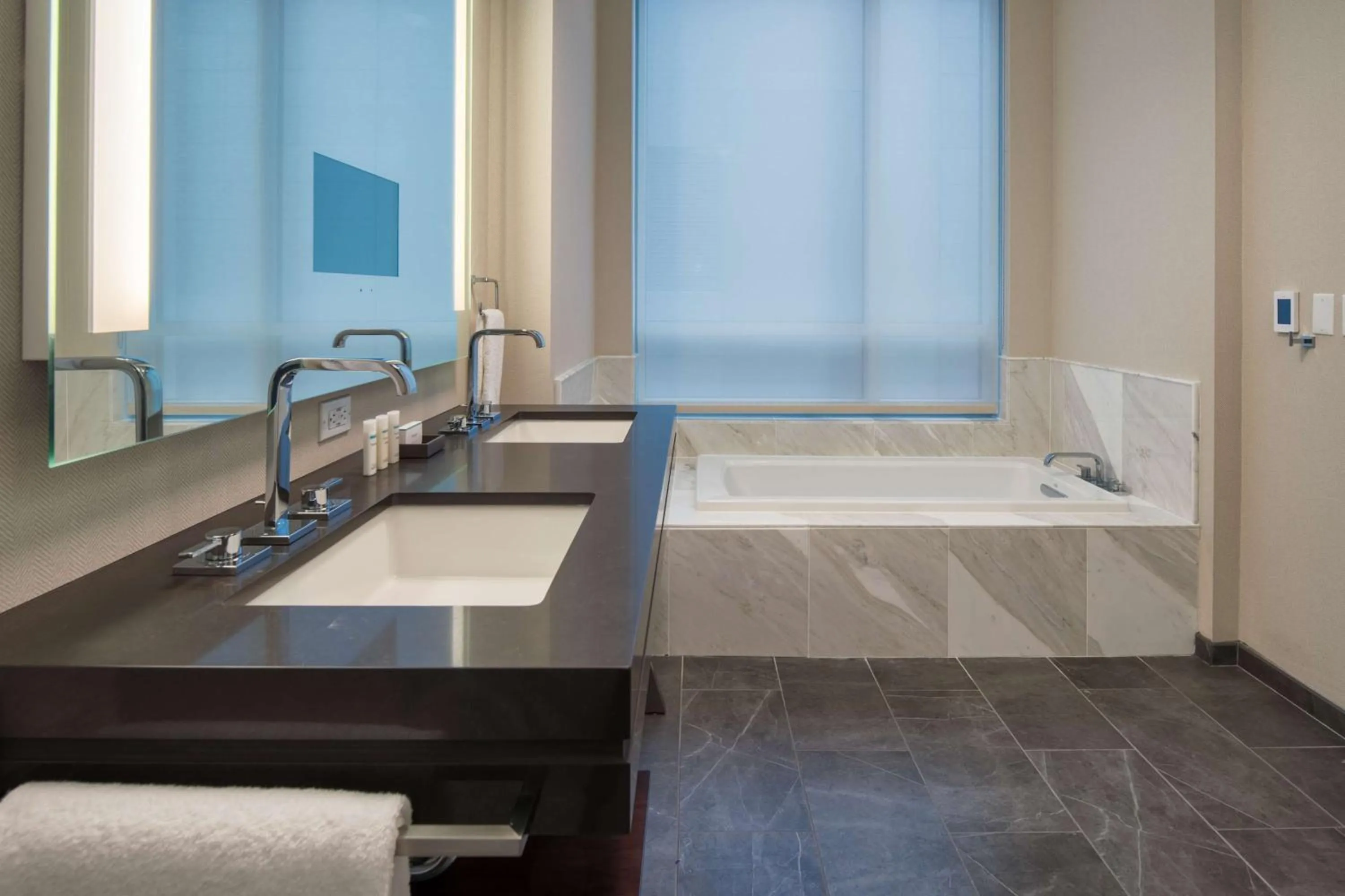 Bathroom in Embassy Suites By Hilton Seattle Downtown Pioneer Square