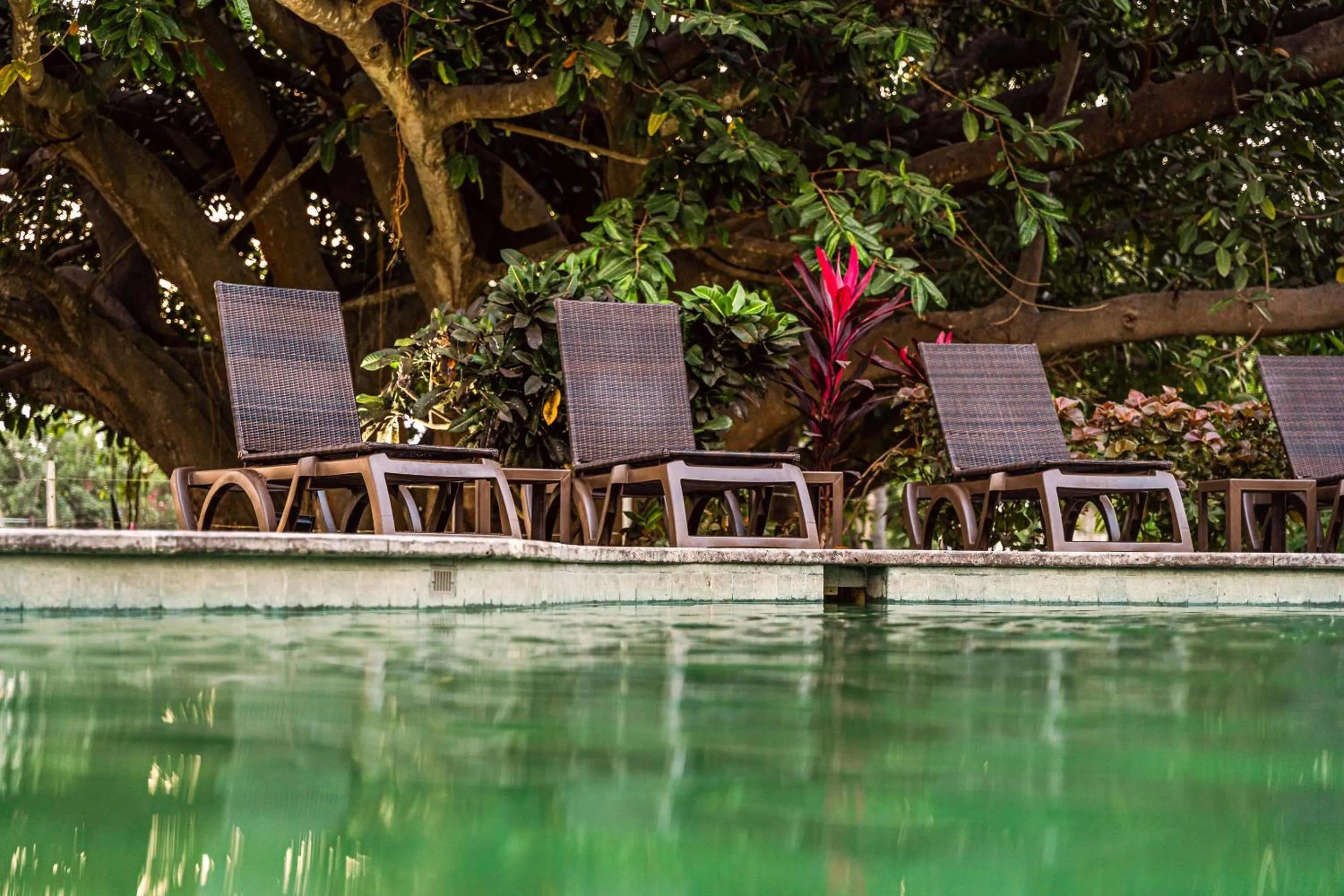 Swimming pool in Comfort Inn Puerto Vallarta Golfside & Marina