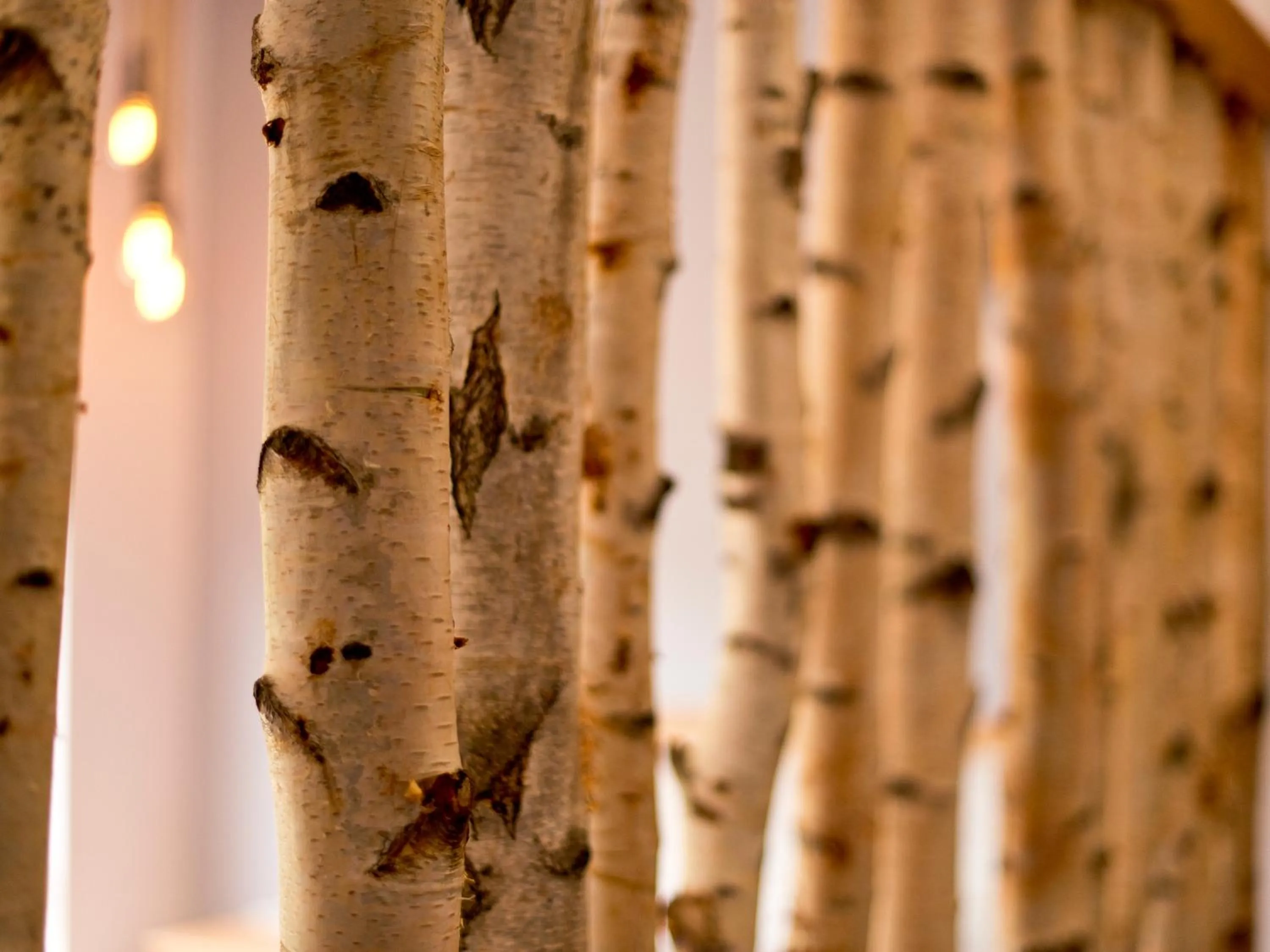 Property building in YHA Boggle Hole