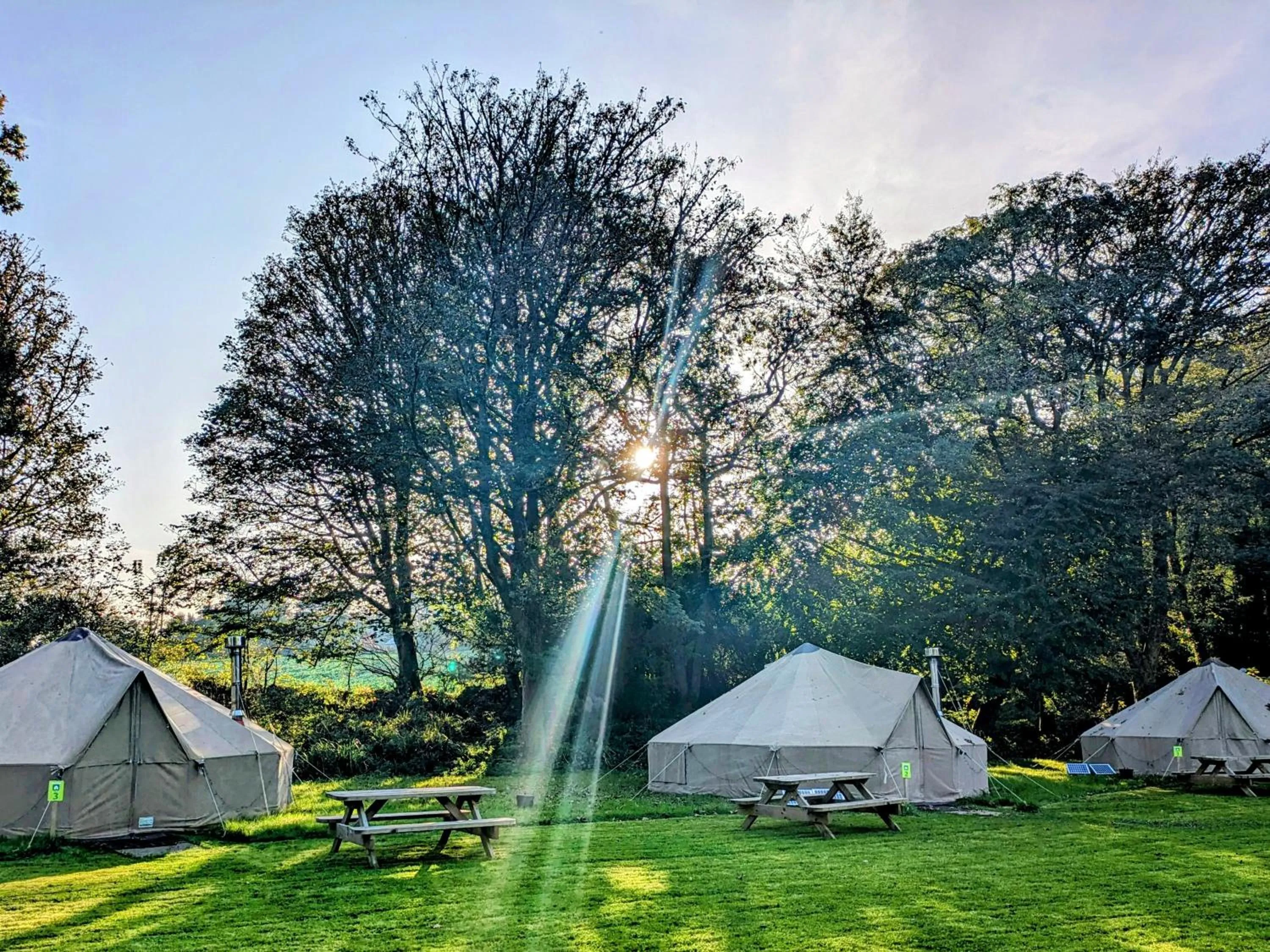 Natural landscape in YHA Penzance