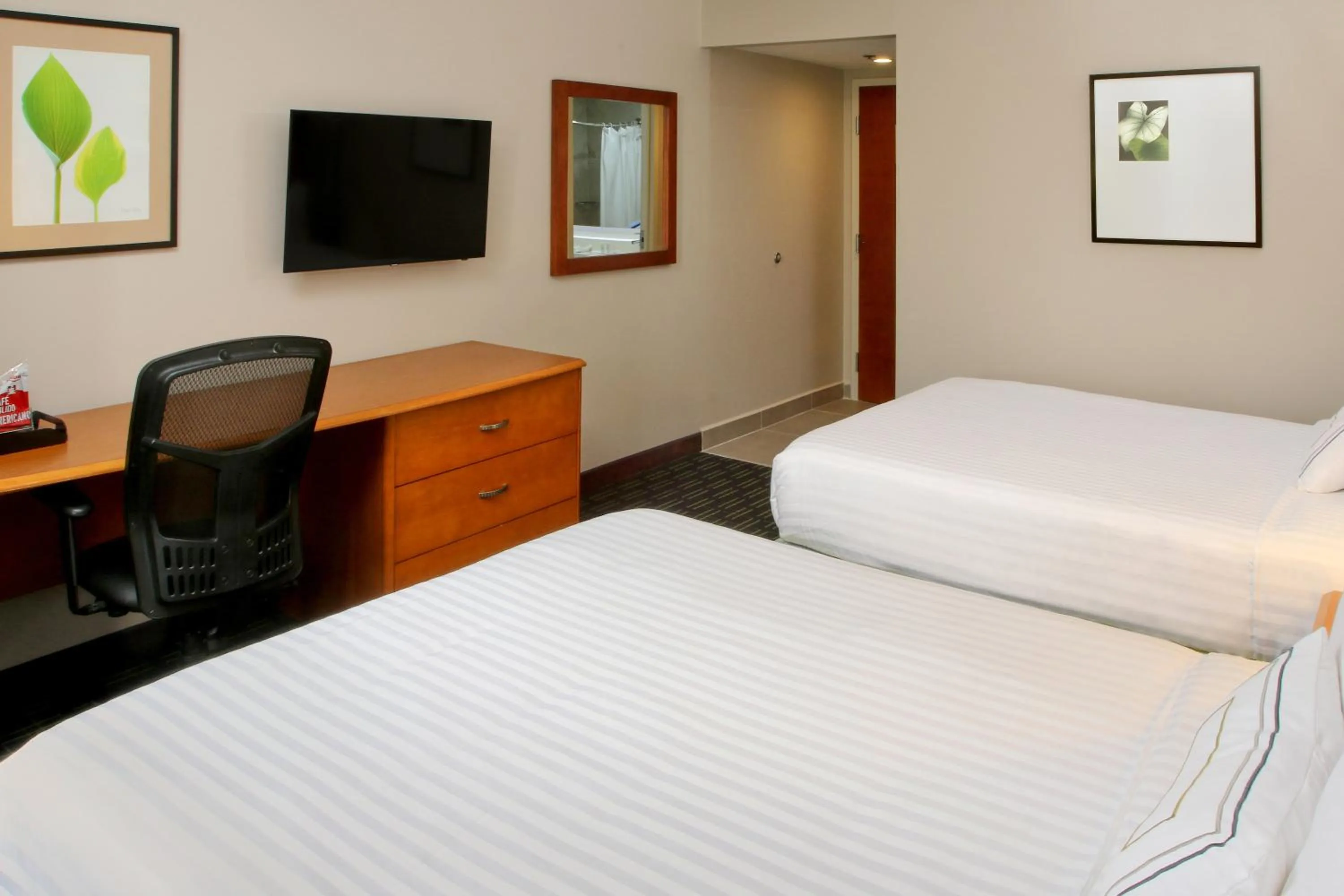 TV and multimedia, Bed in Wyndham Garden Monterrey Aeropuerto