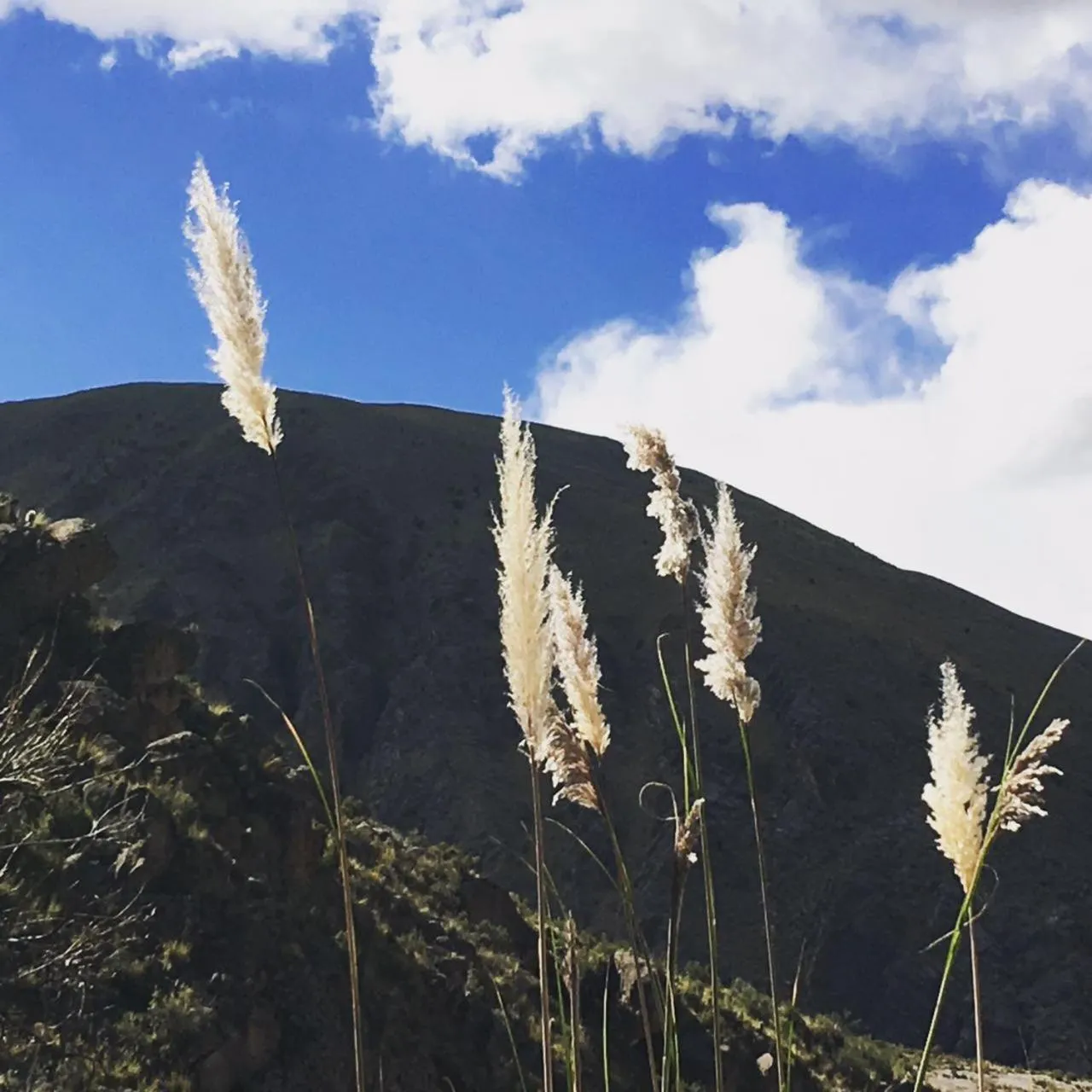 Hiking in Hotel Museo Cayara