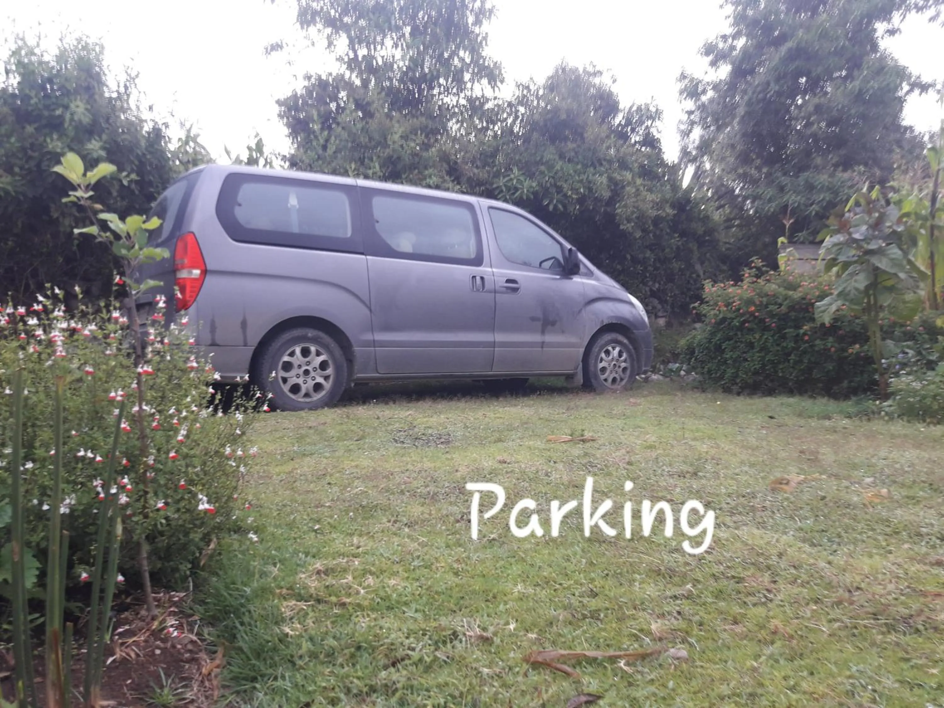 Garden in Green House Araque Inn