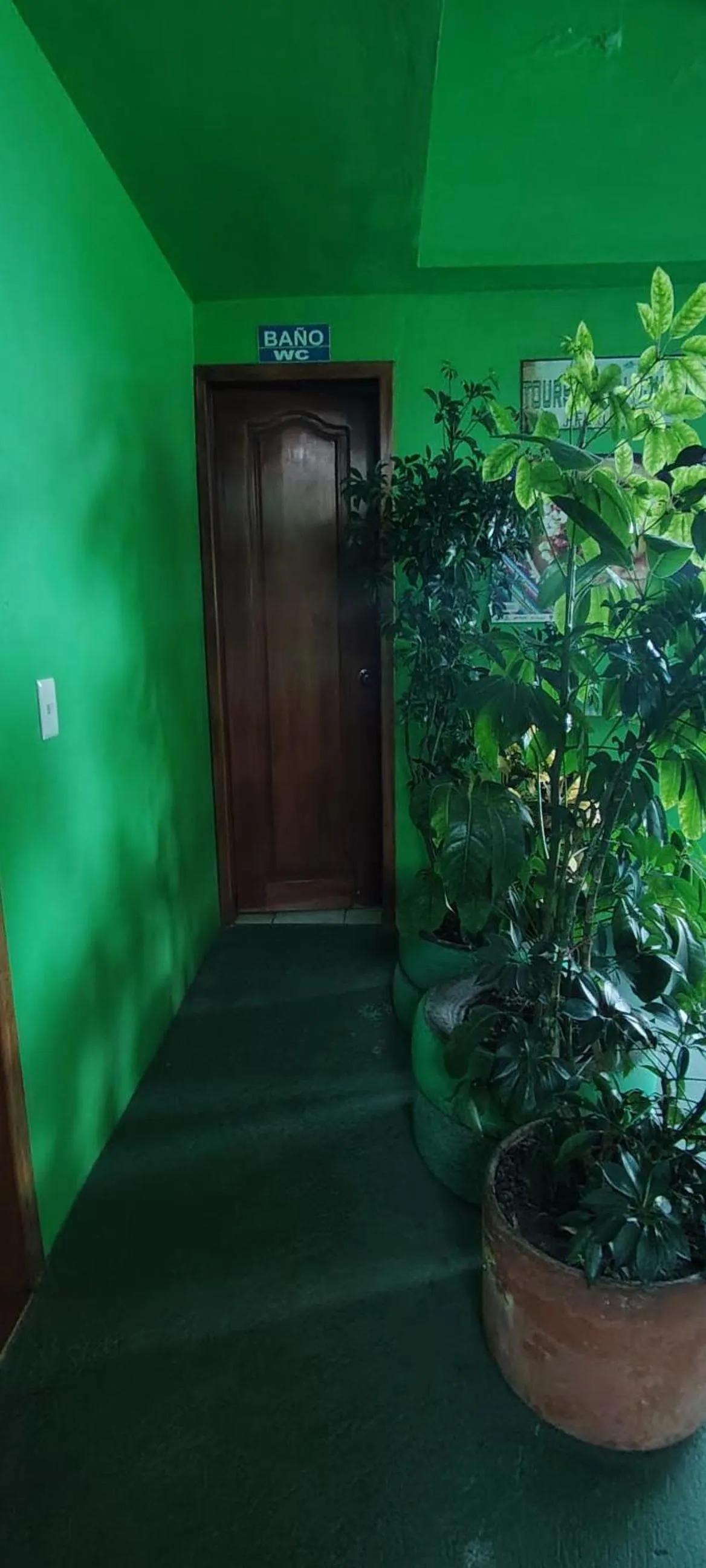 Public Bath in Green House Araque Inn