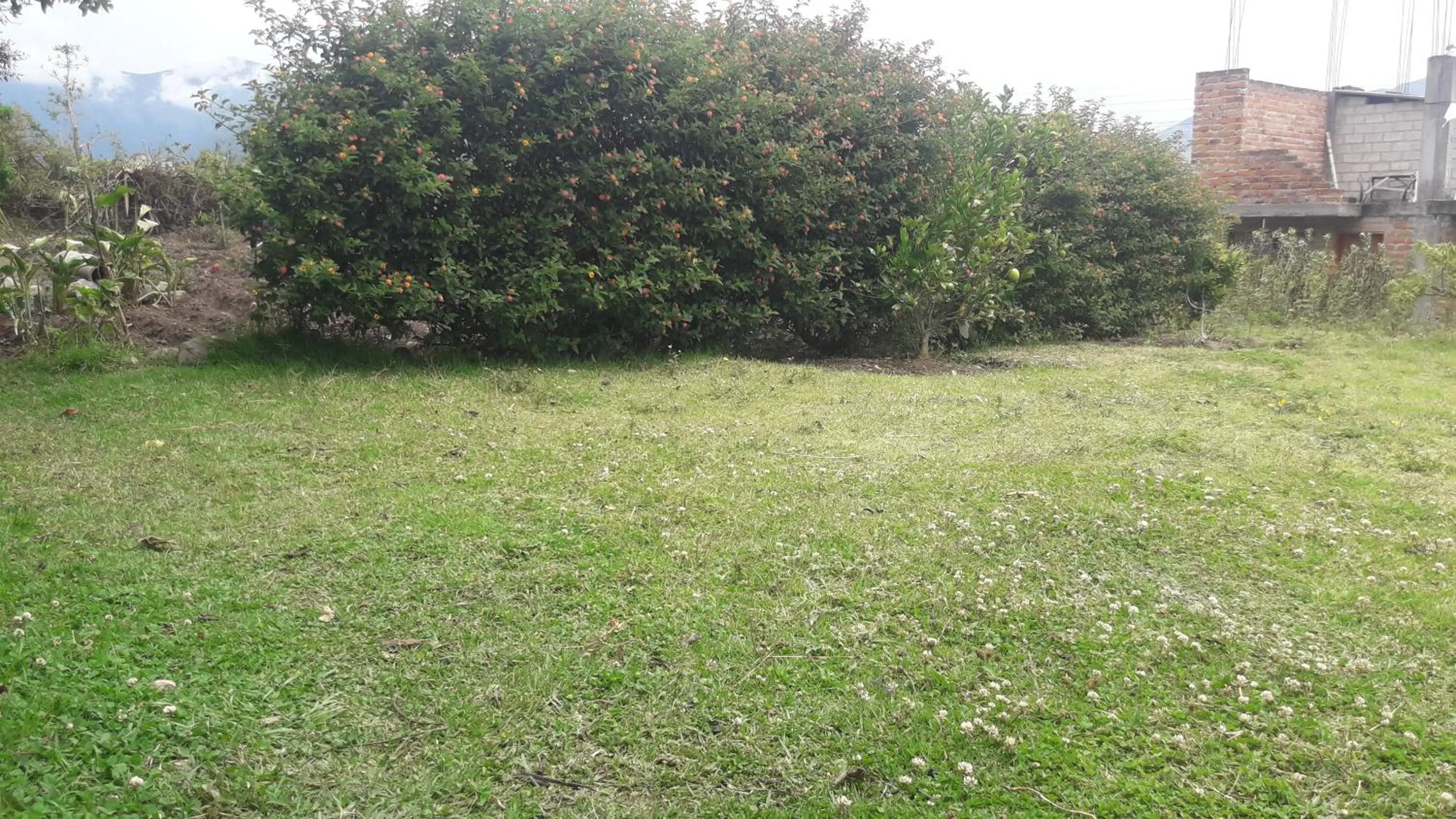 Parking in Green House Araque Inn