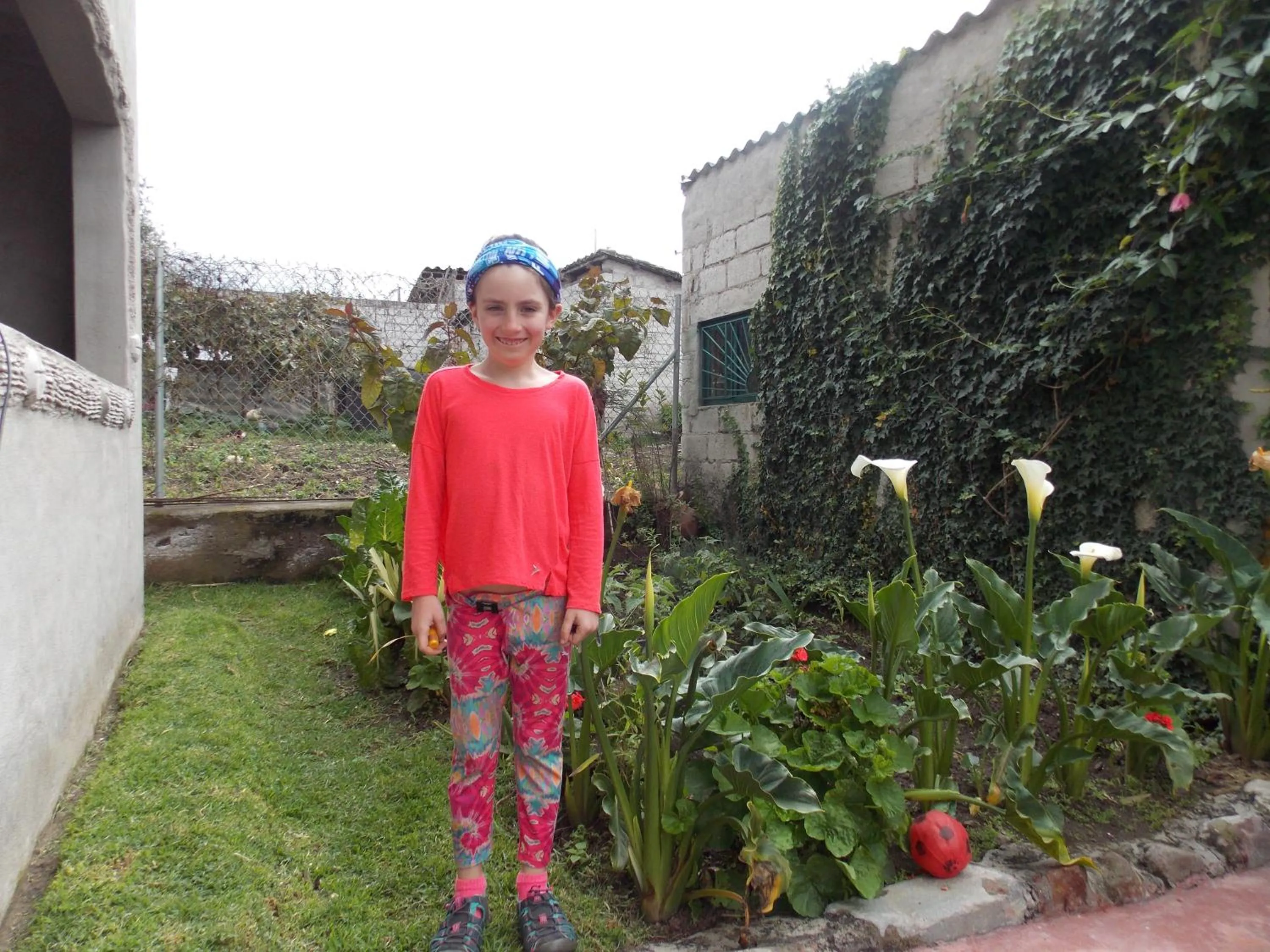 Garden in Green House Araque Inn