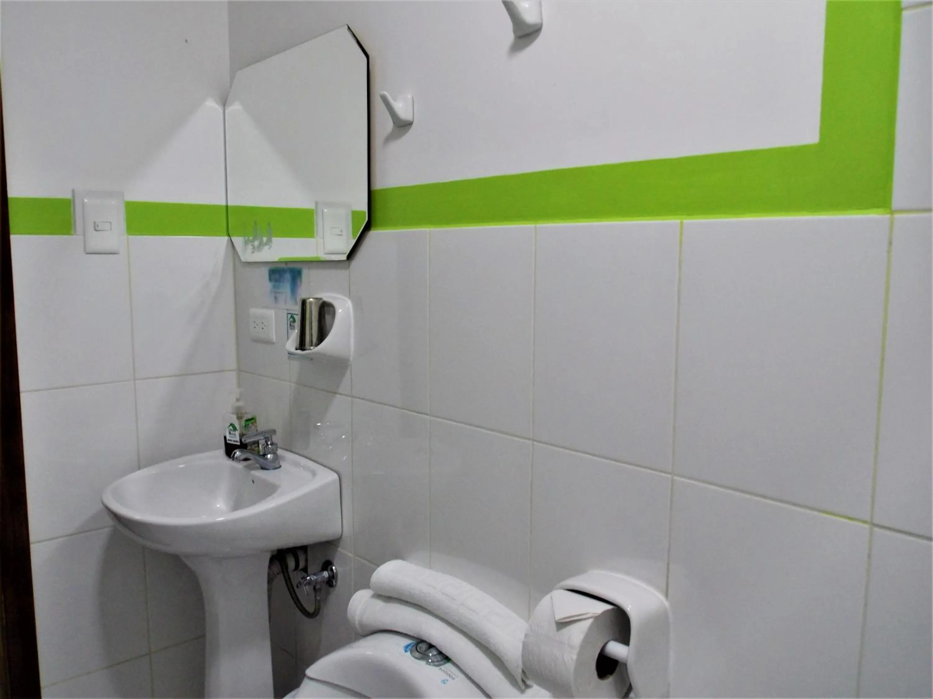 Bathroom in Green House Araque Inn