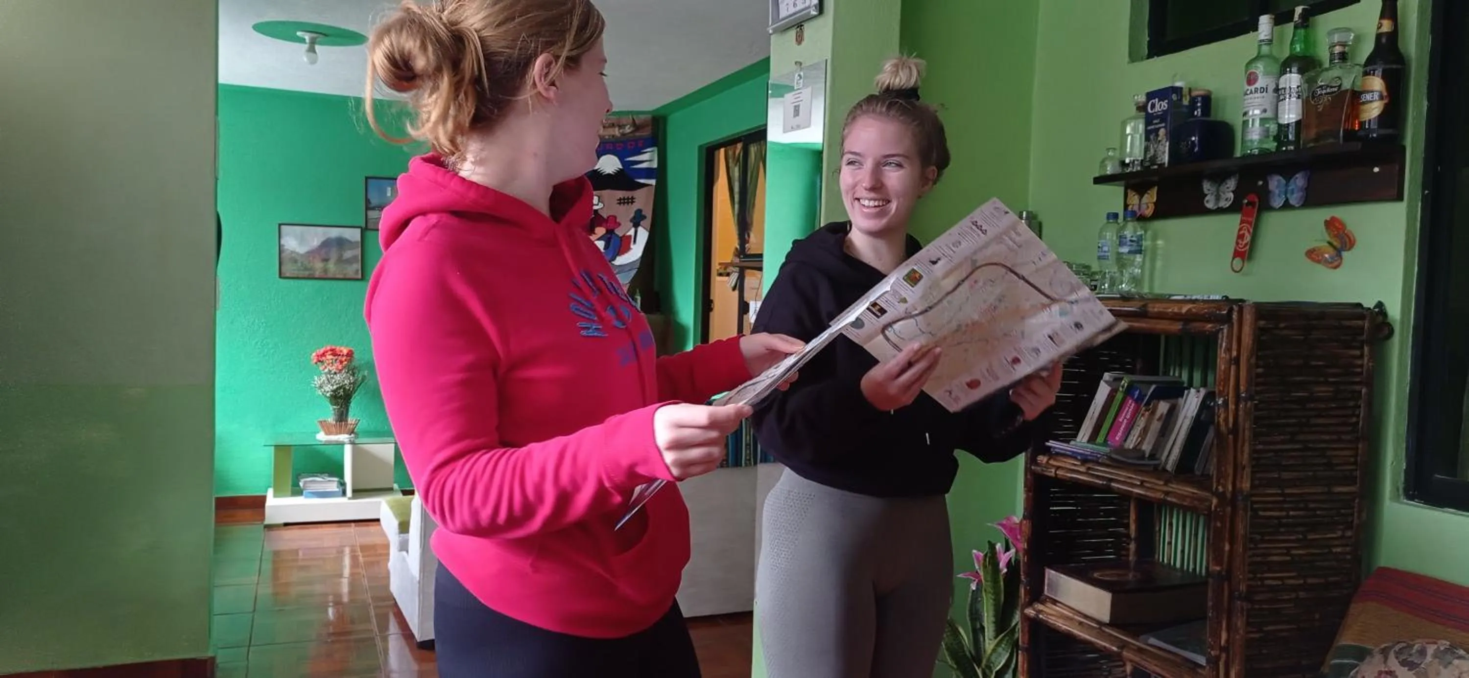 Kitchen or kitchenette in Green House Araque Inn