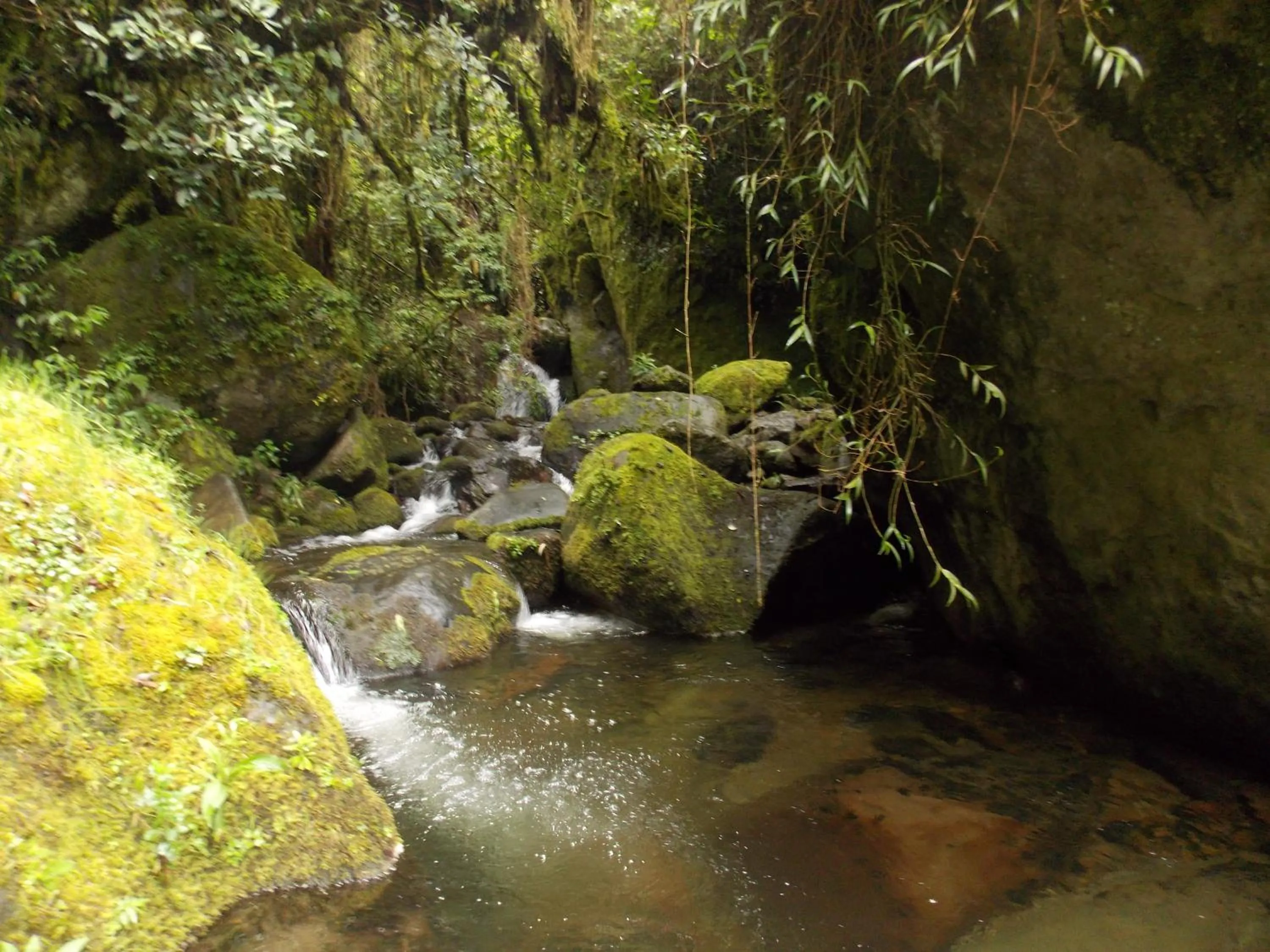 Hiking in Green House Araque Inn