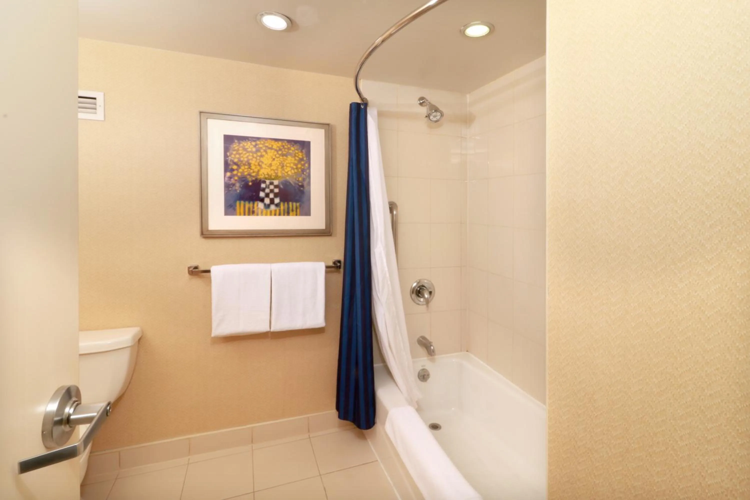 Toilet in Courtyard Monterrey San Jeronimo