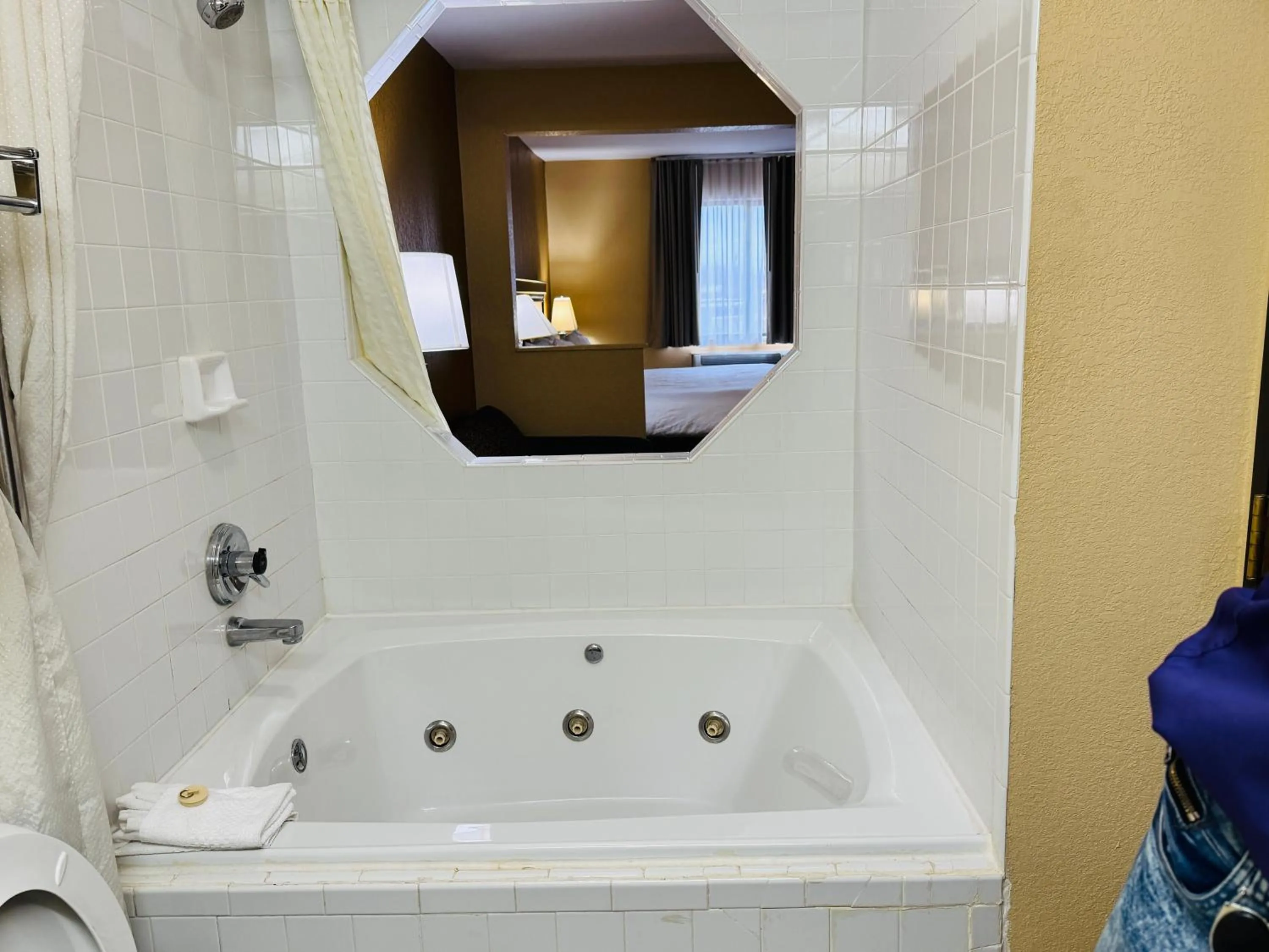 Econo Lodge Inn & Suites Monroe