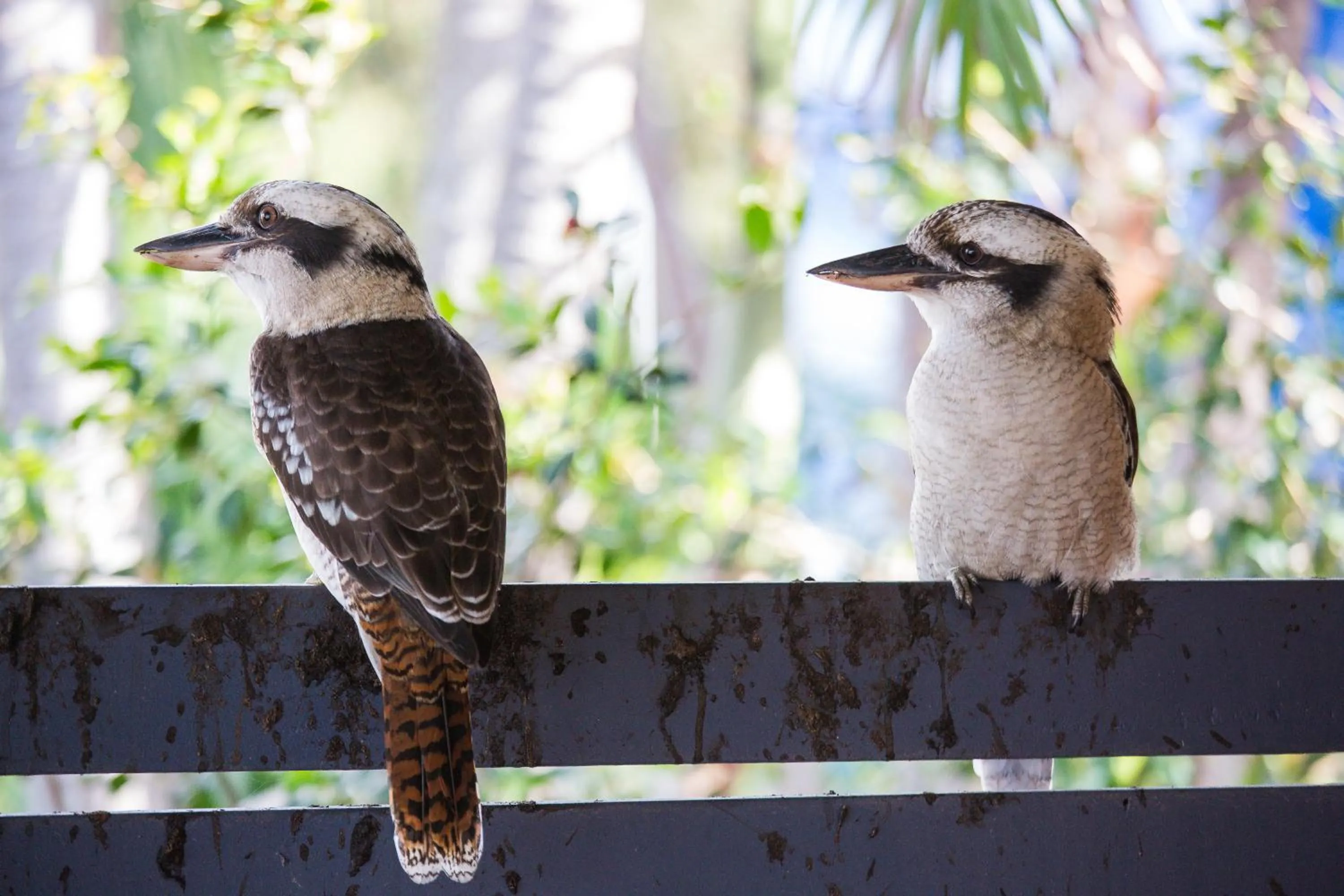 Halifax Holiday Park