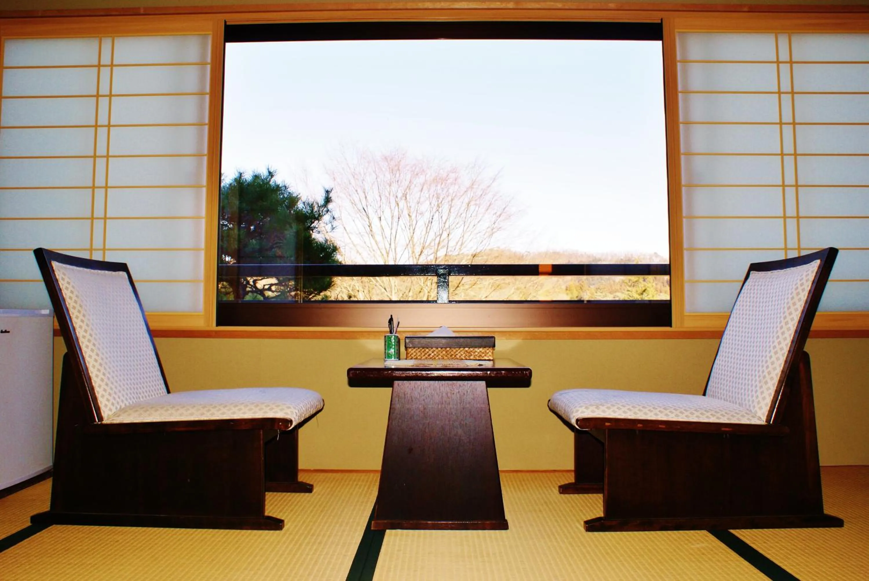 Mountain view in Nikko Hoshino Yado