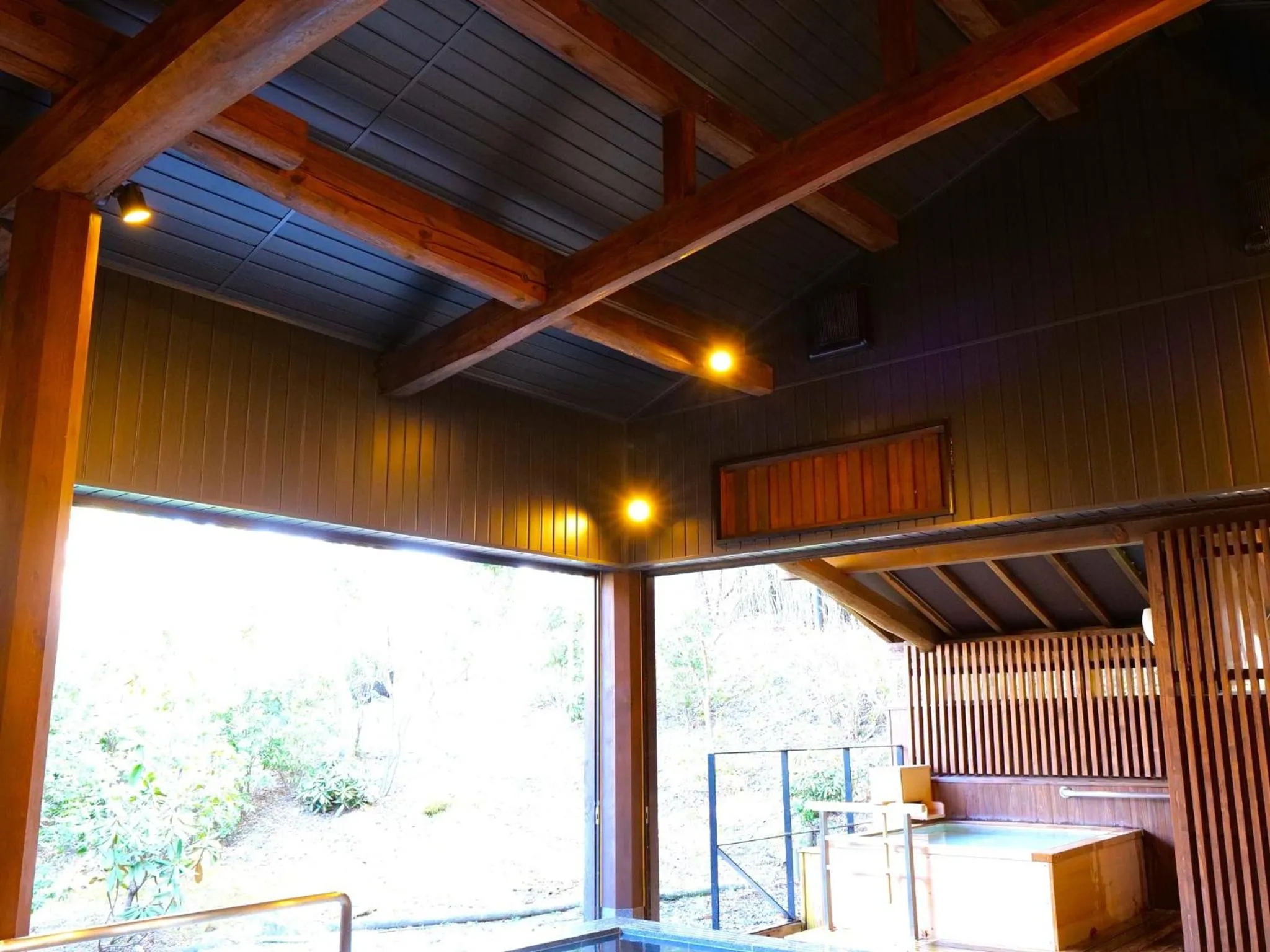 Public Bath in Nikko Hoshino Yado