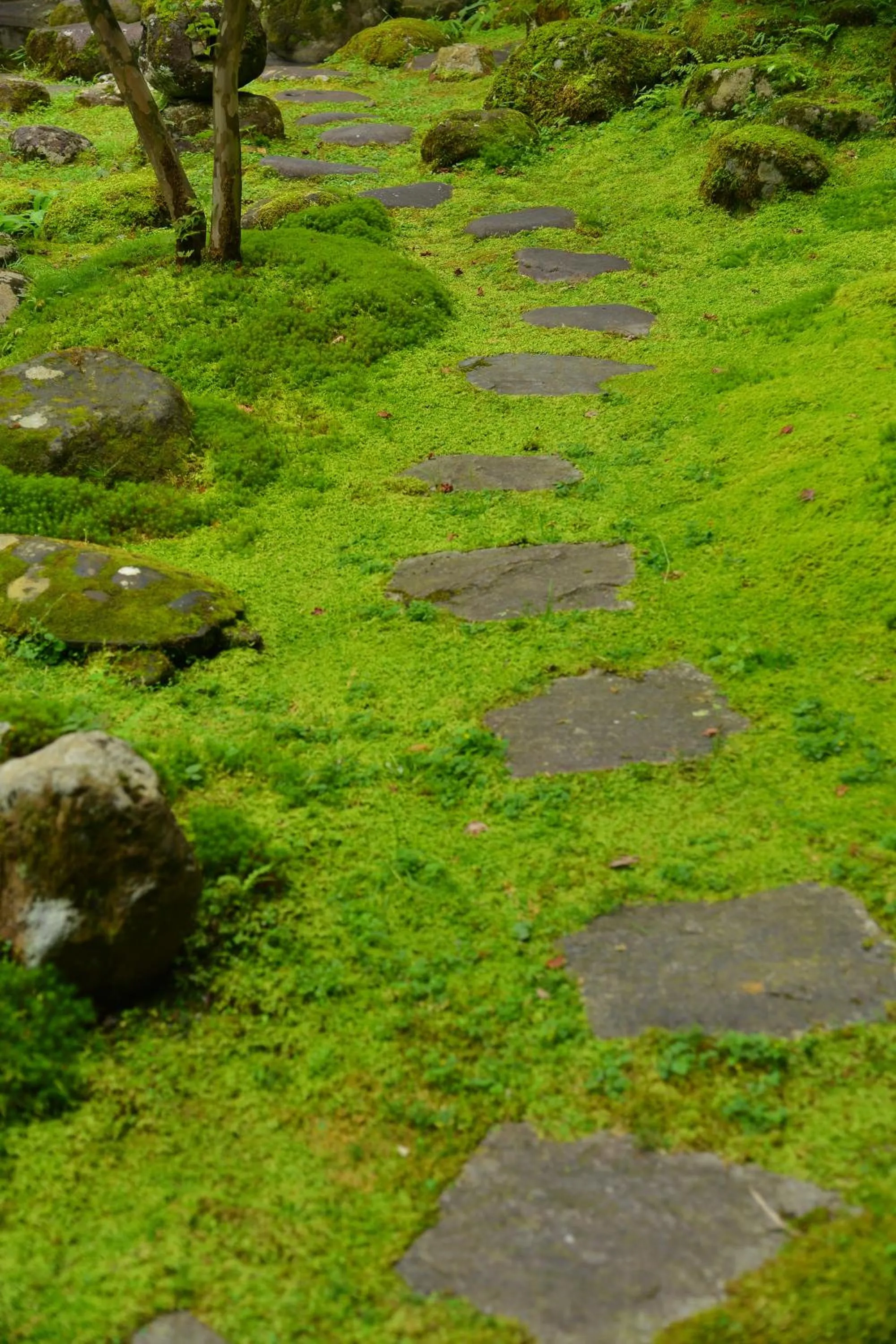 Garden in Nikko Hoshino Yado