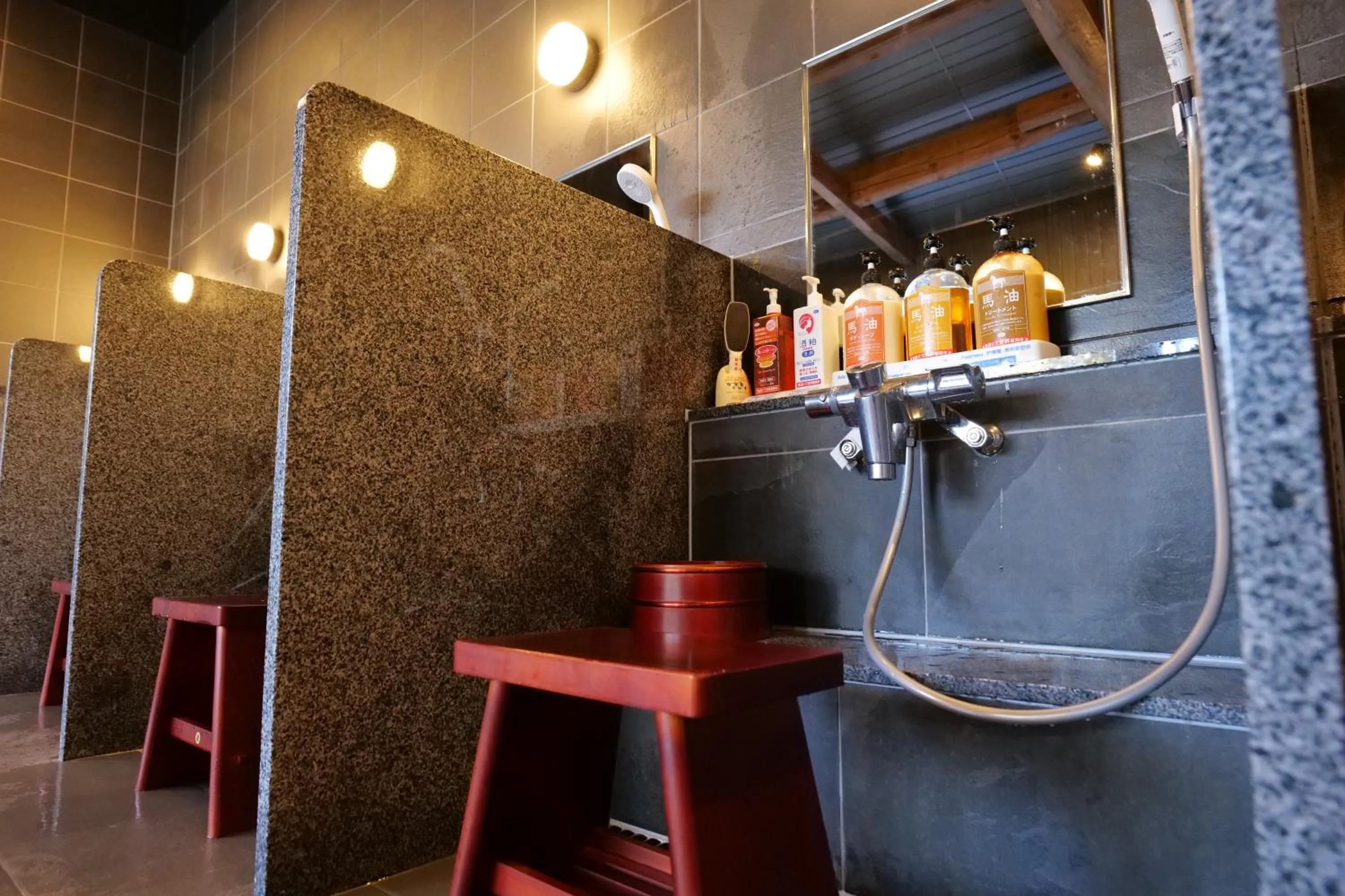 Public Bath in Nikko Hoshino Yado