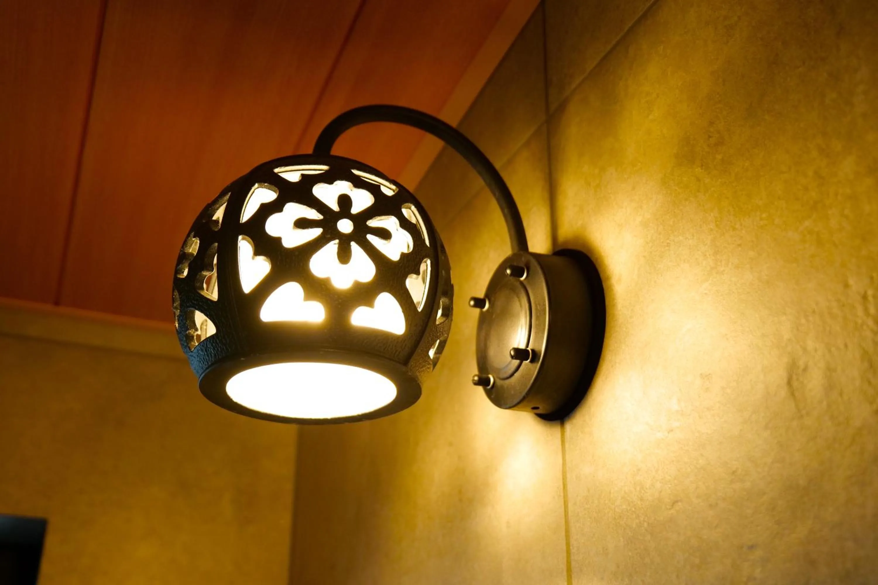 Public Bath in Nikko Hoshino Yado