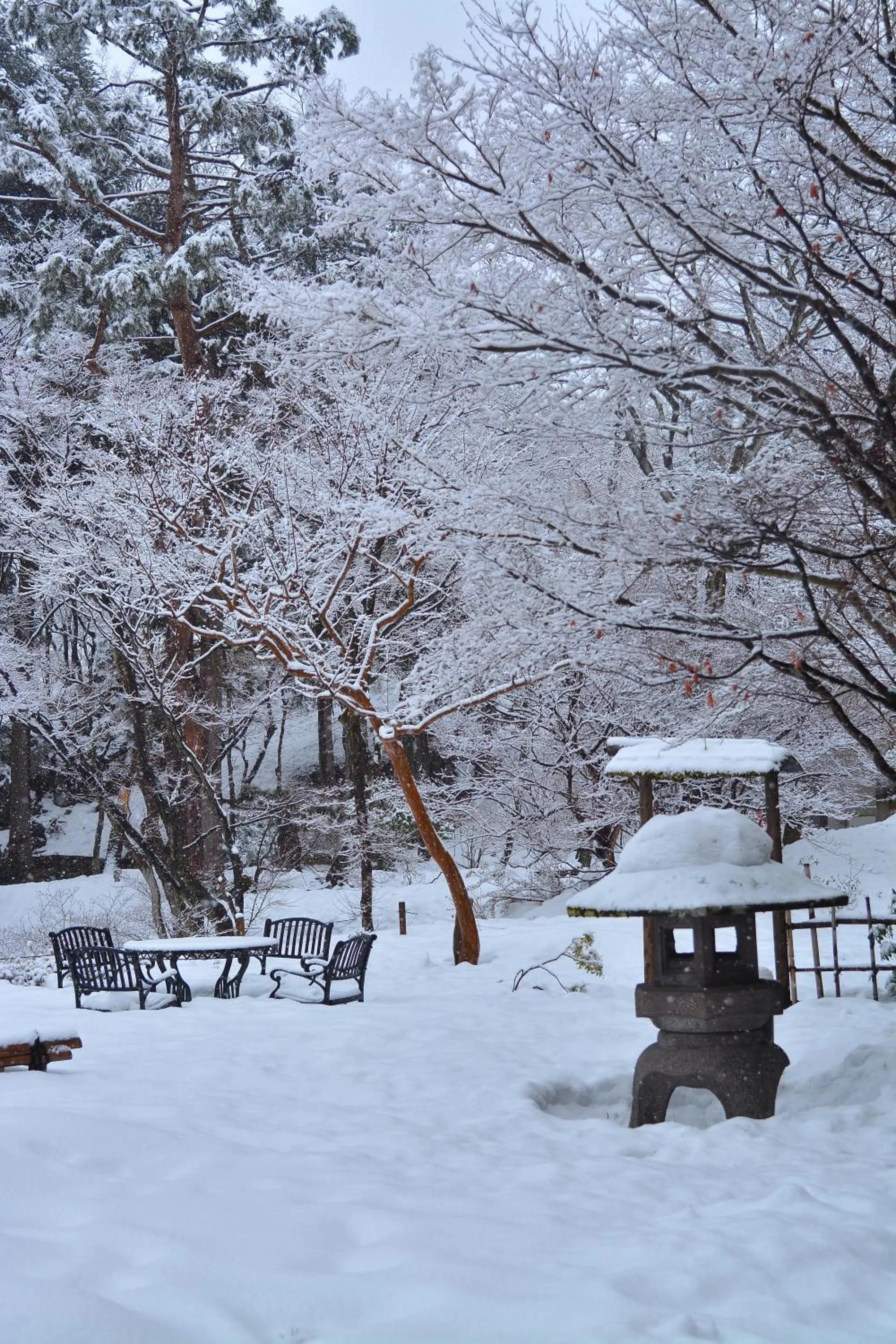 Winter in Nikko Hoshino Yado