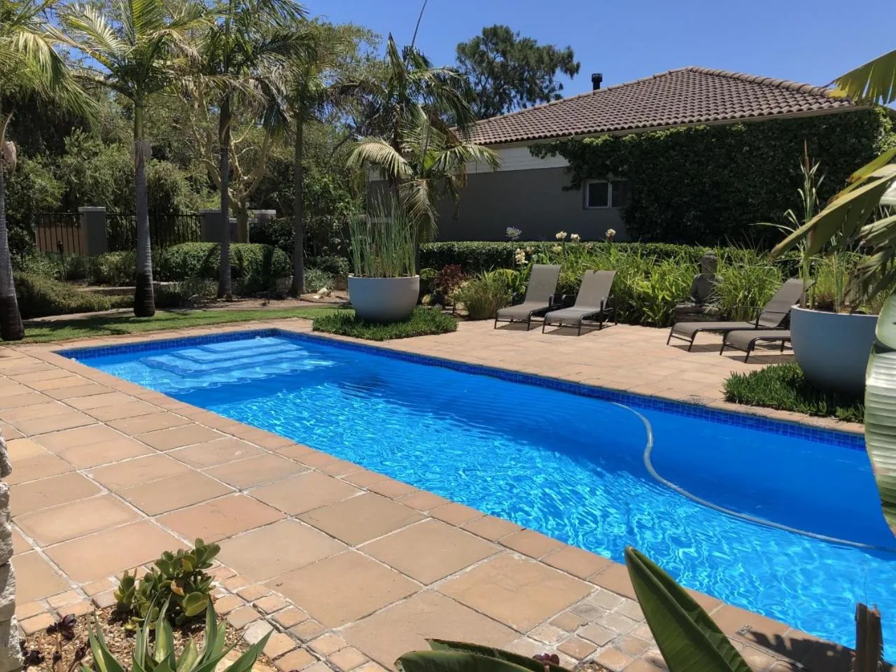 Swimming pool in African Palm Cottage and Guesthouse
