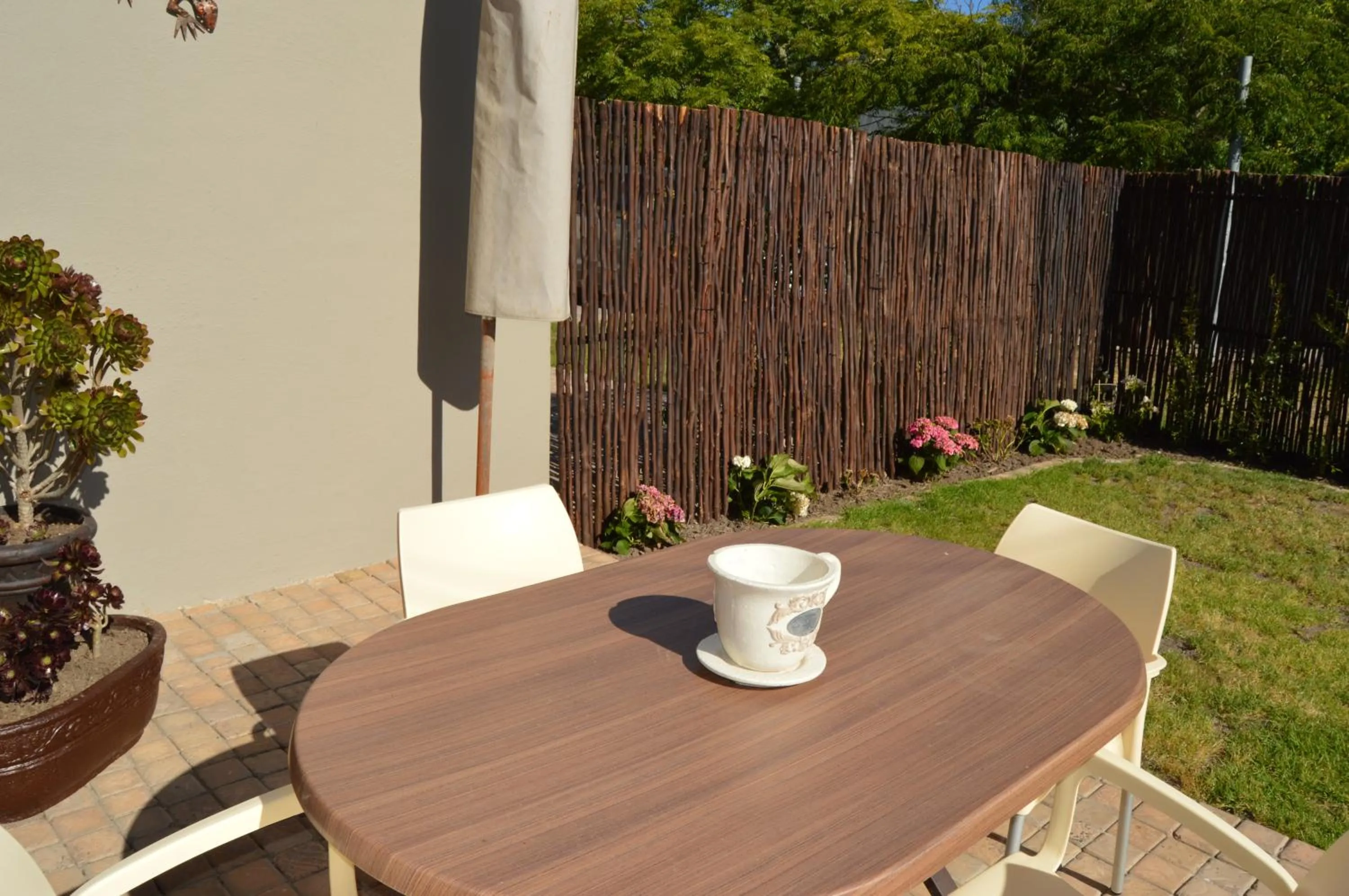 Balcony/Terrace in African Palm Cottage and Guesthouse