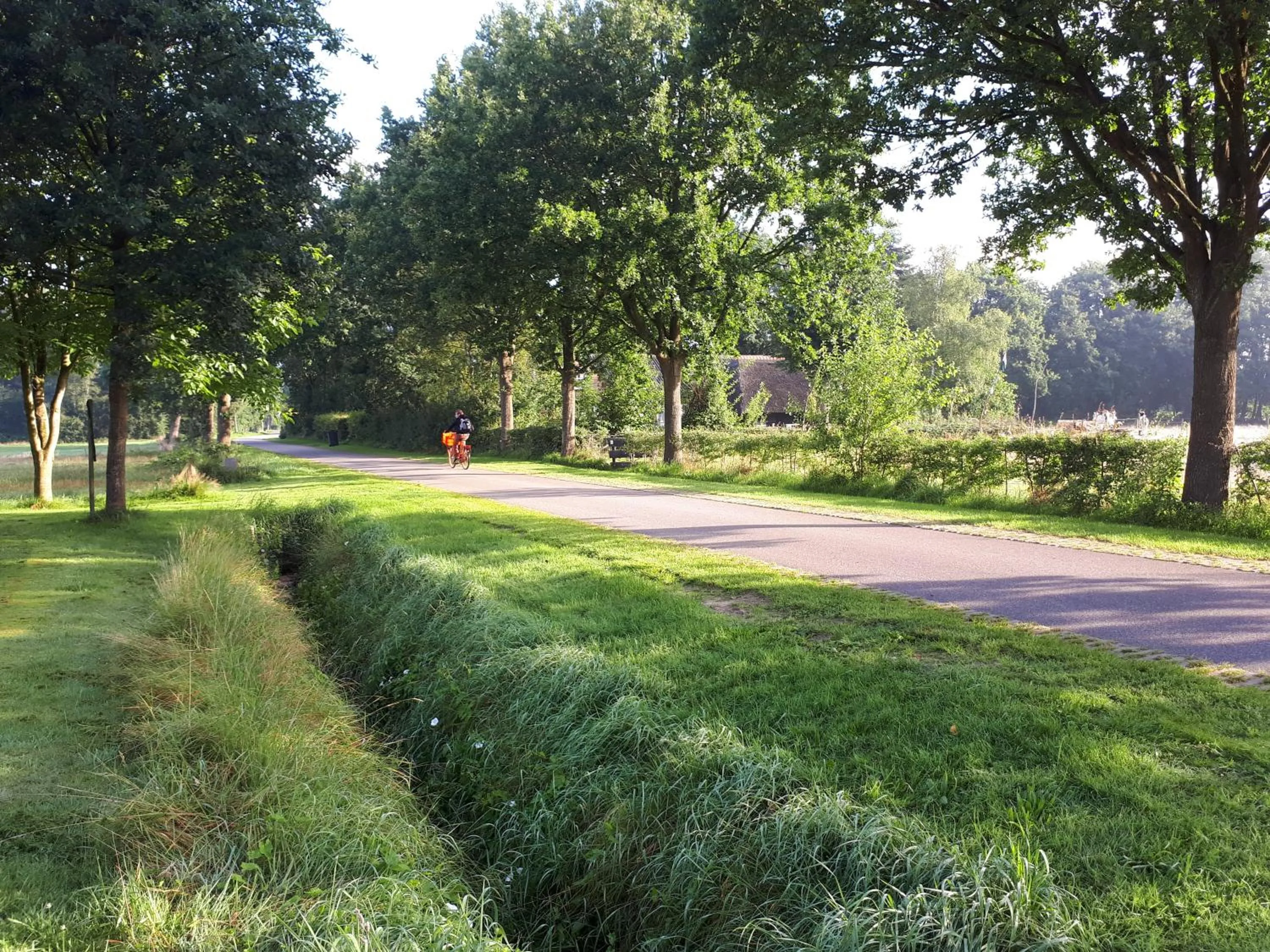 Neighbourhood in Voorhuis