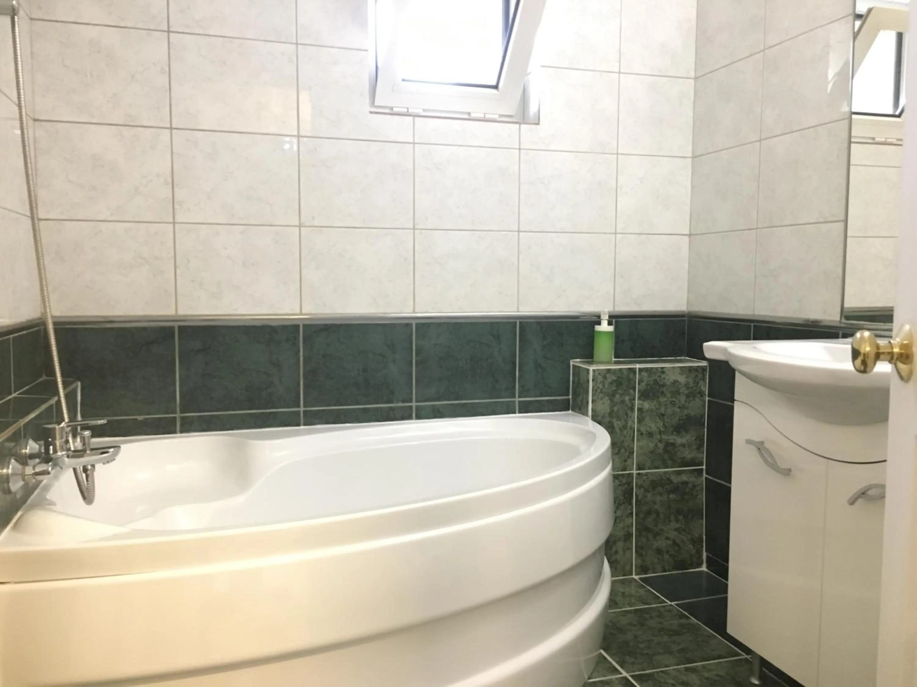 Bathroom in Green Apartment 4-26 Mircea Voda