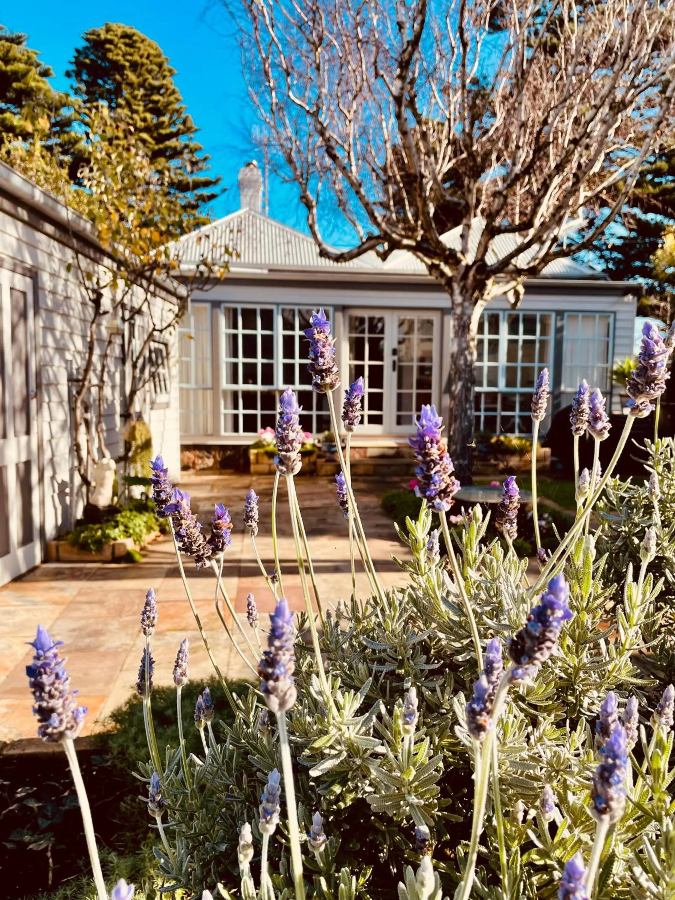 Garden view in Edge17 Waterfront Apartment, plus Cottage with Garden View - Port Fairy