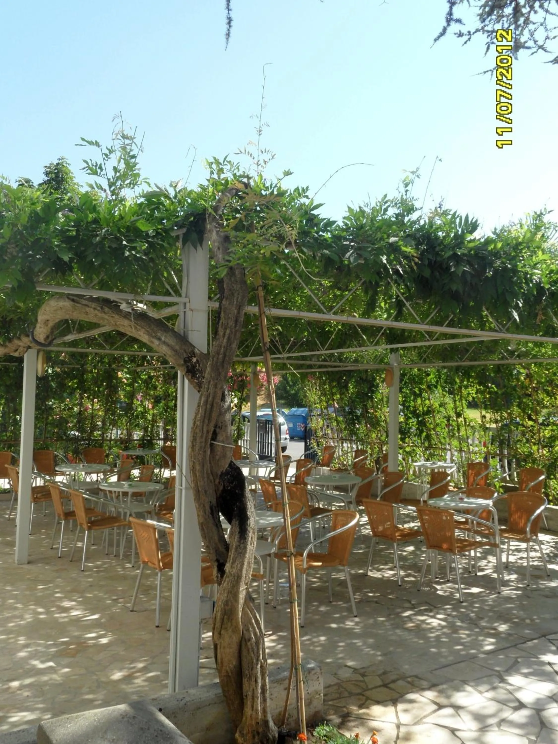 Garden in Hotel Prati