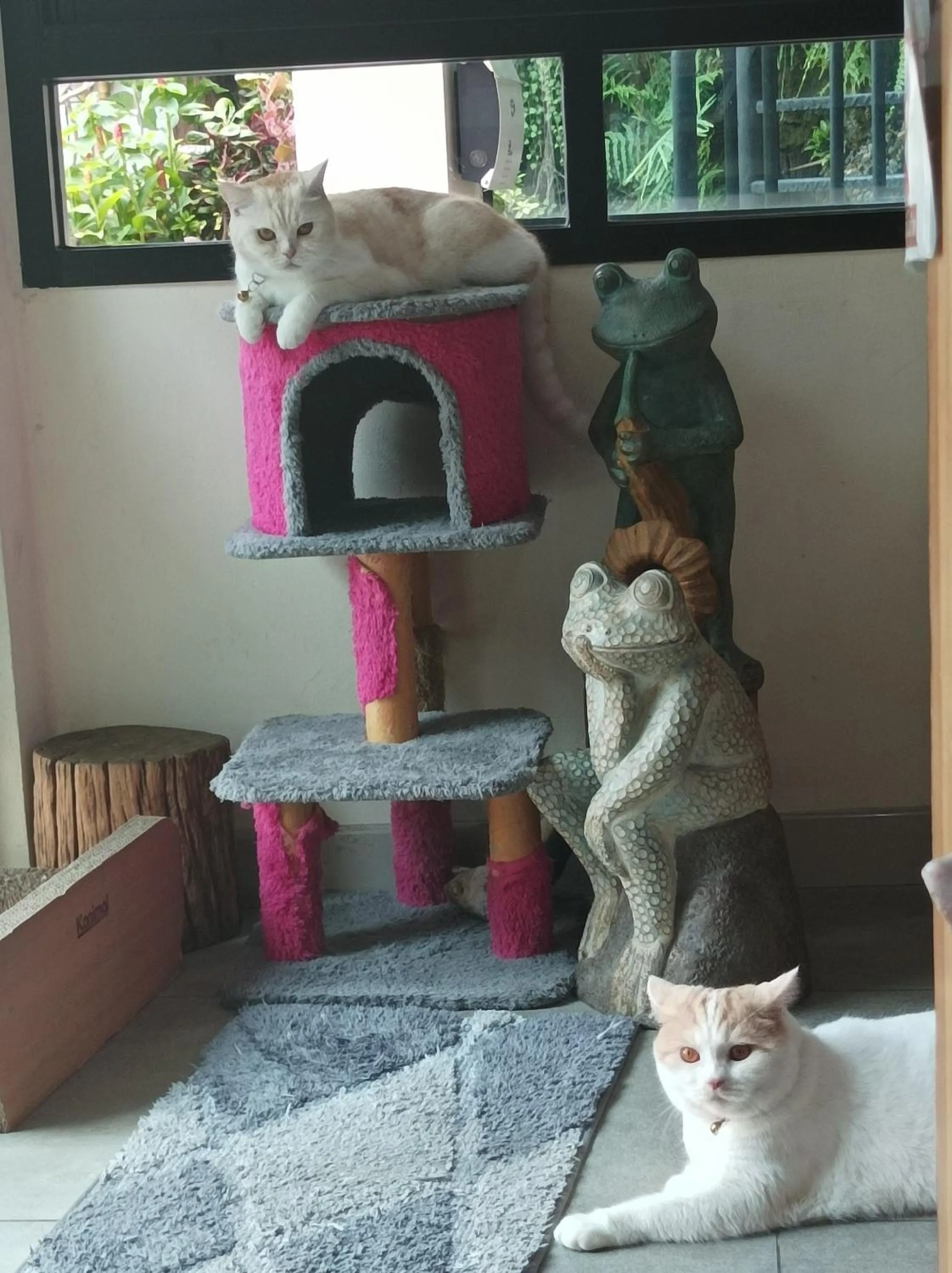 Double D Rooms & Cafe