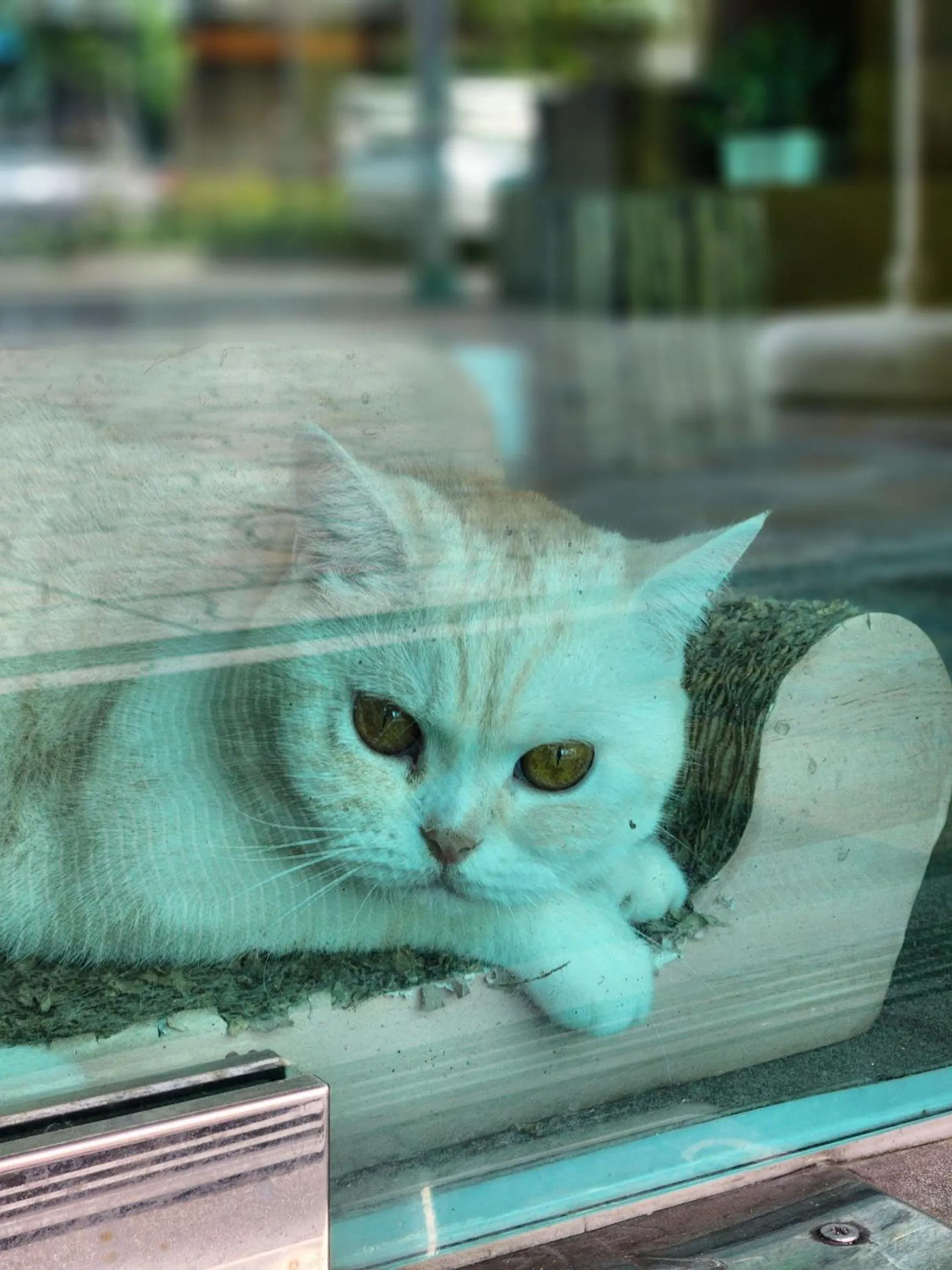 Double D Rooms & Cafe