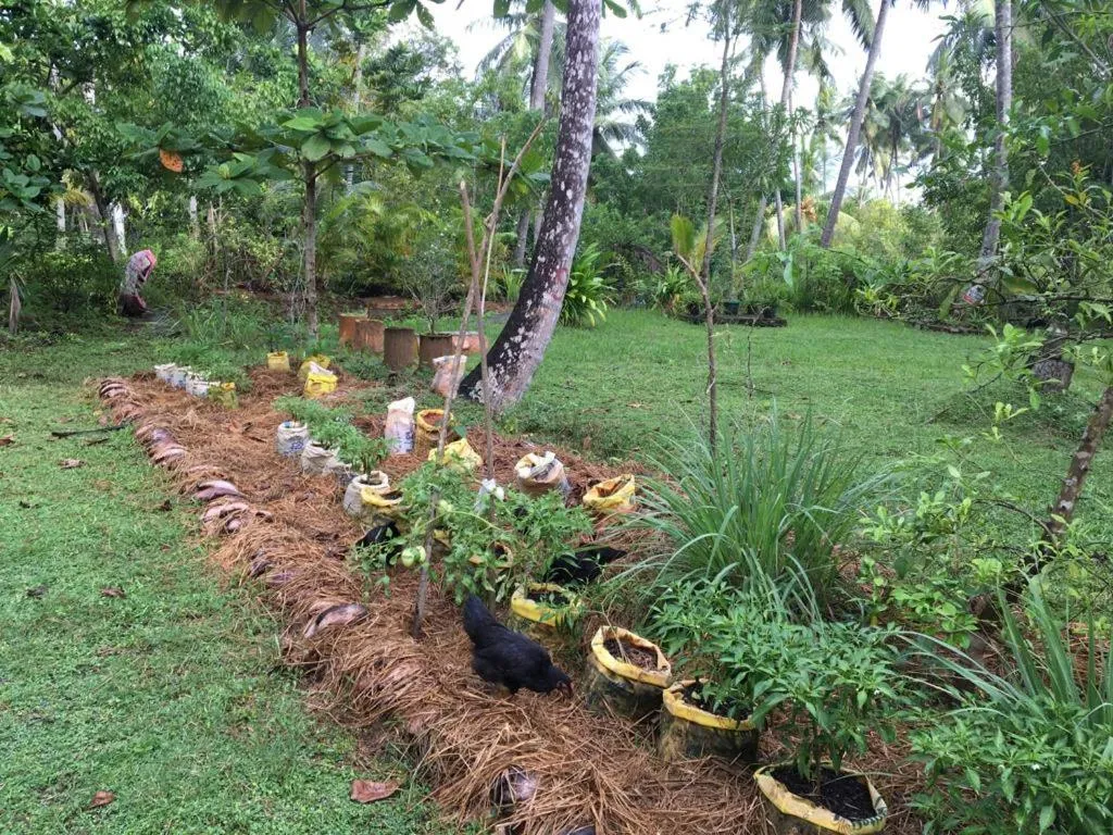 Milkyway Holiday Resort