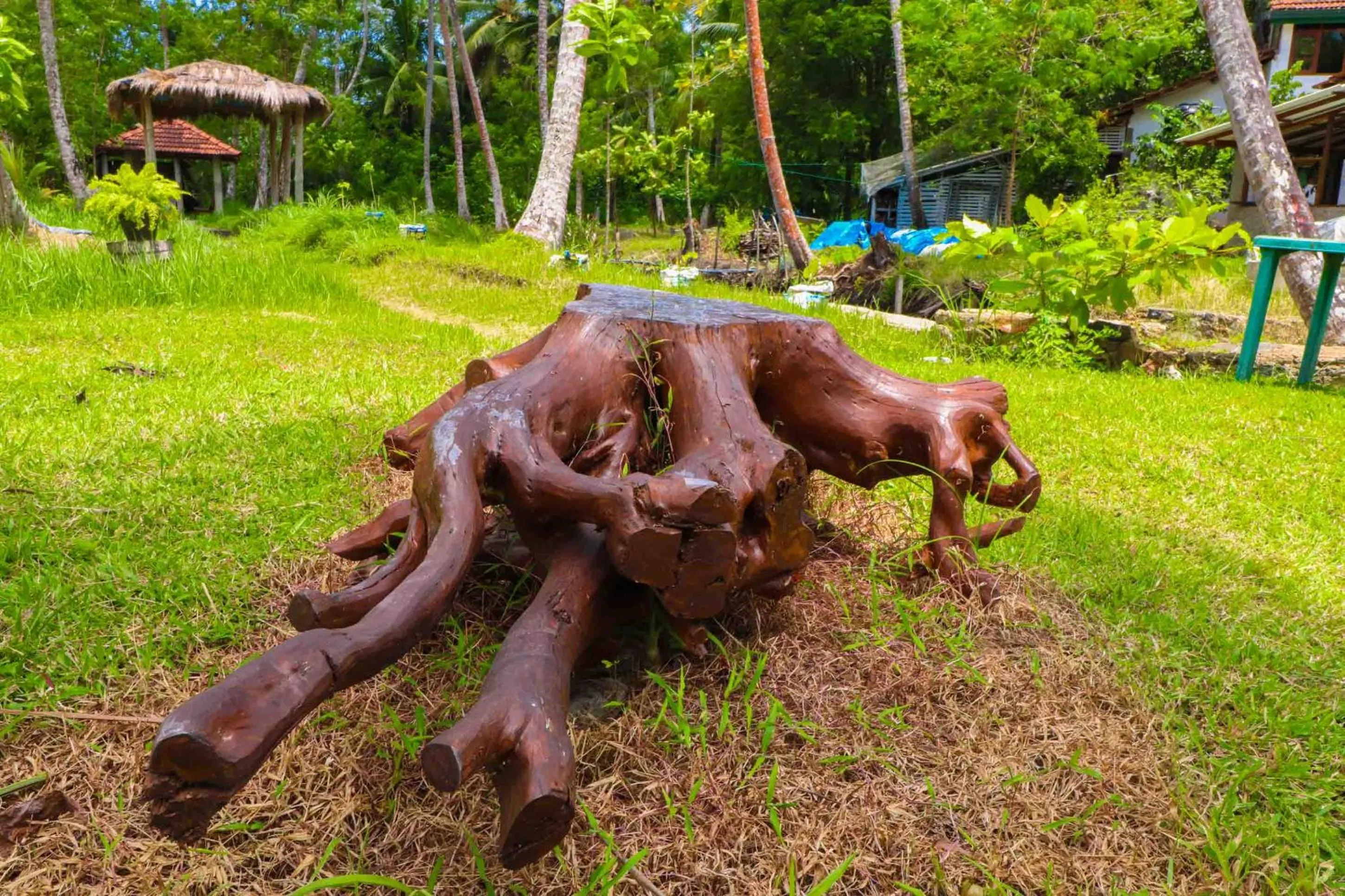 Garden in Milkyway Holiday Resort