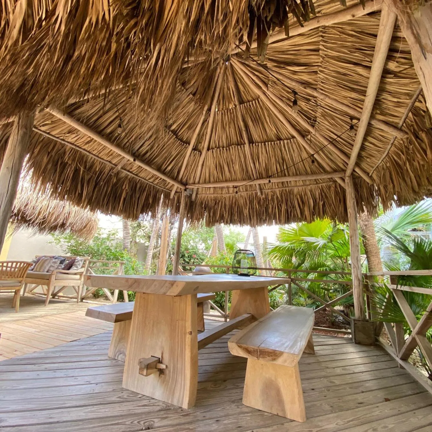 Garden in Paradera Park Aruba