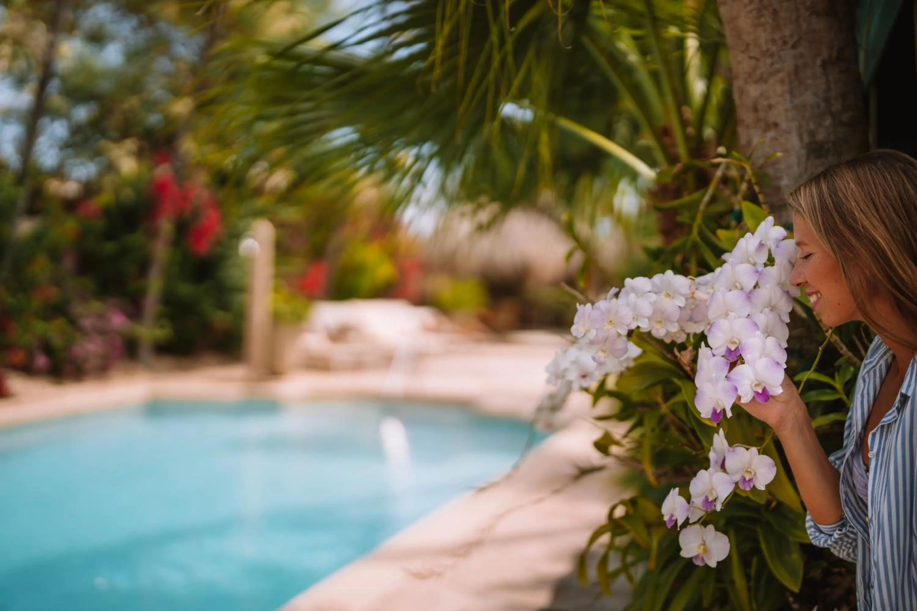 Garden in Paradera Park Aruba