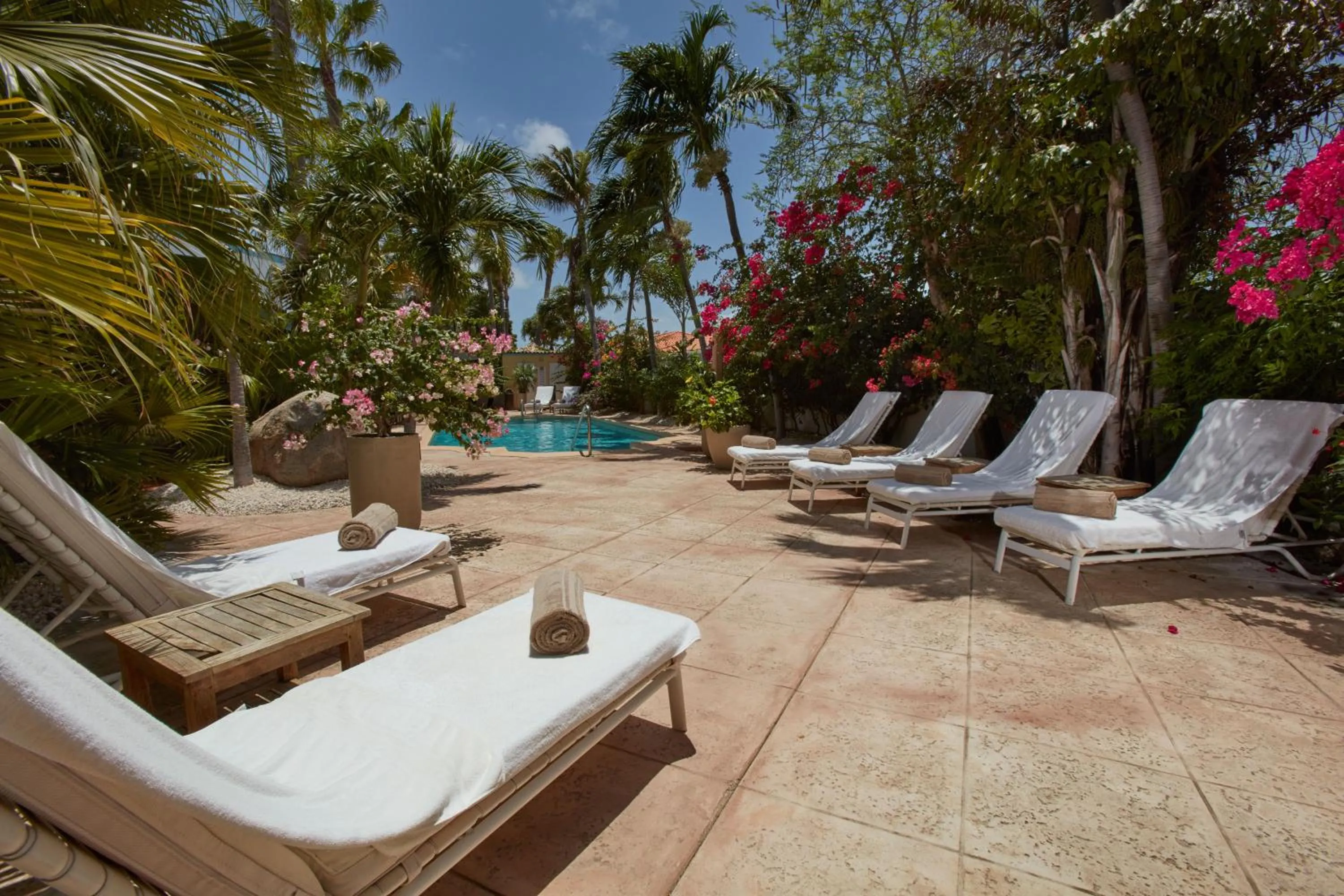 Garden in Paradera Park Aruba