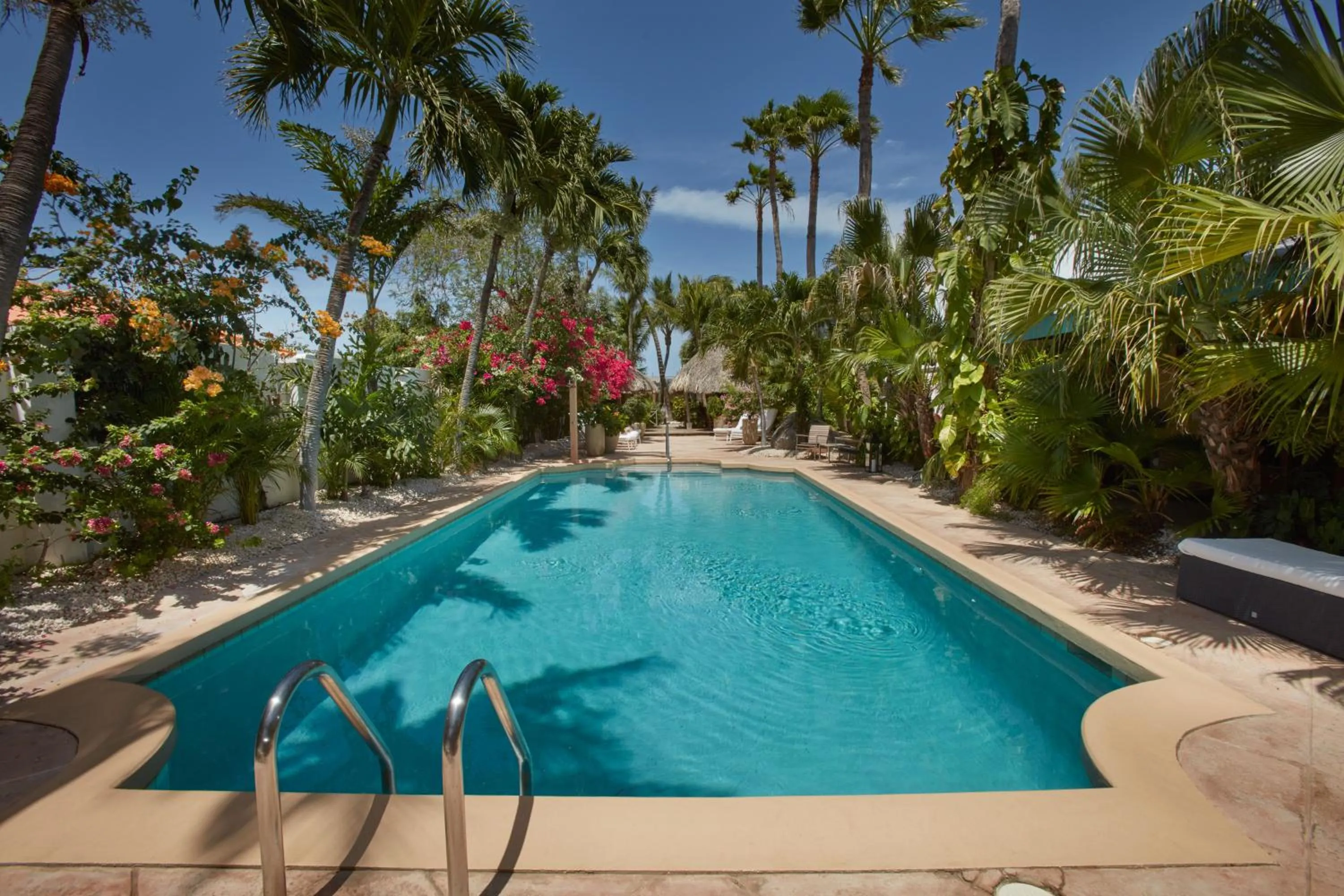 Swimming pool in Paradera Park Aruba