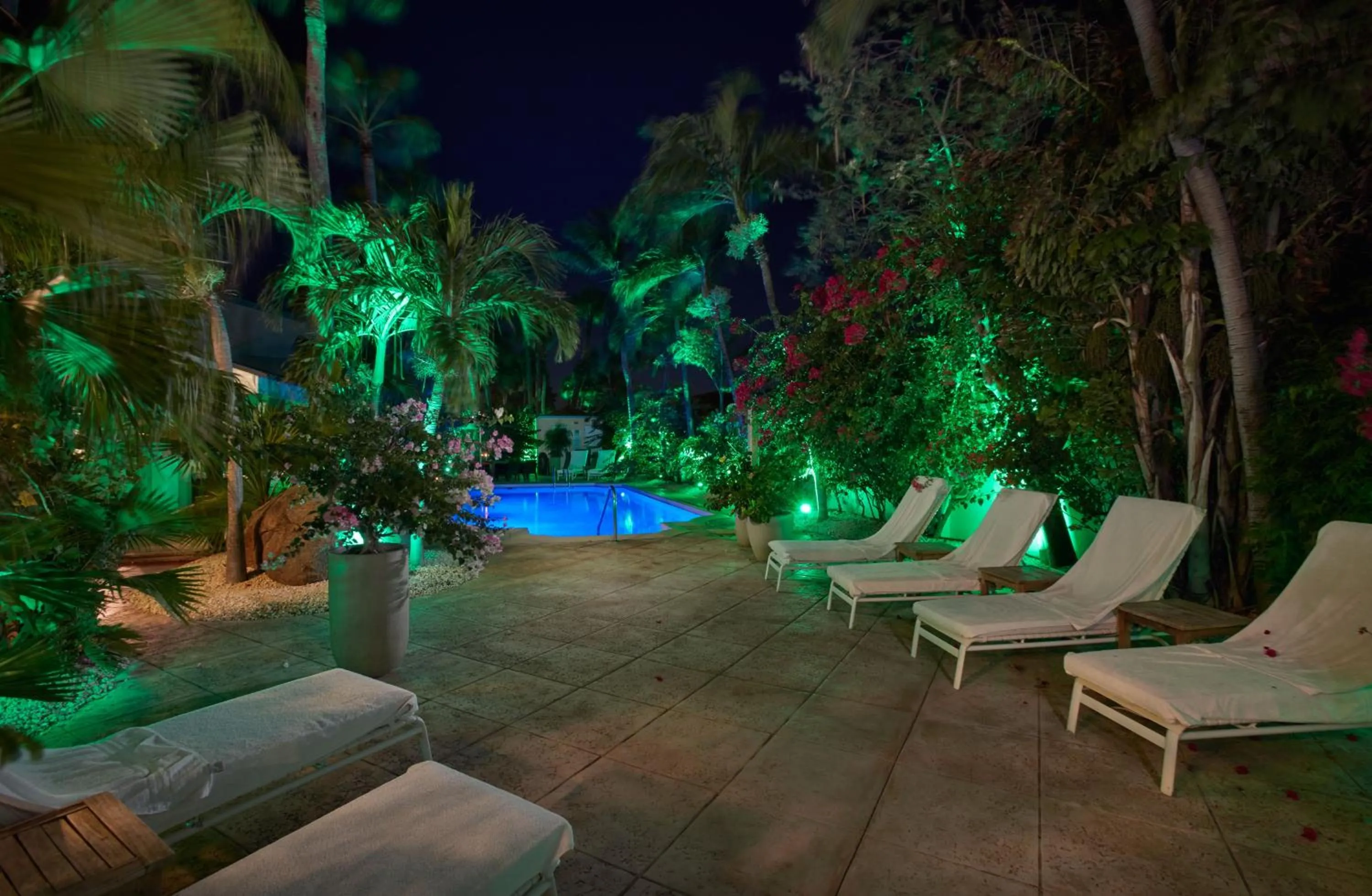 Garden in Paradera Park Aruba