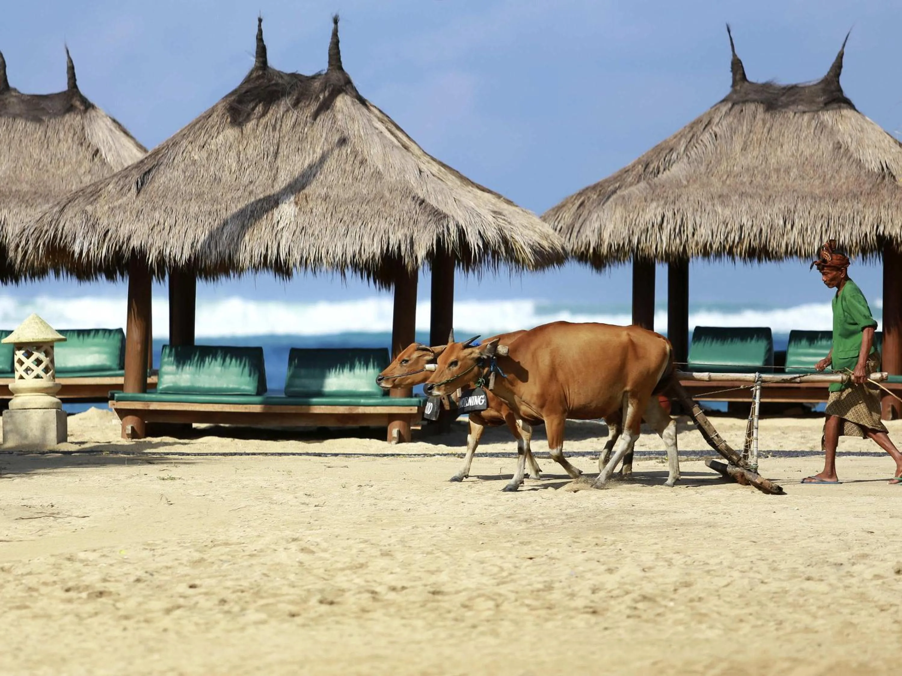 Property building in Novotel Lombok Resort & Villas