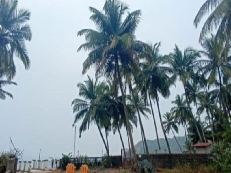 Leon Hide Out Guest House