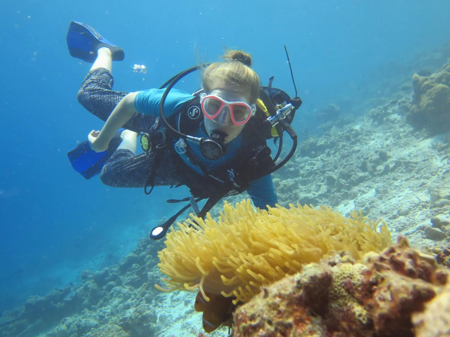 Diving in Paguro Beach Inn