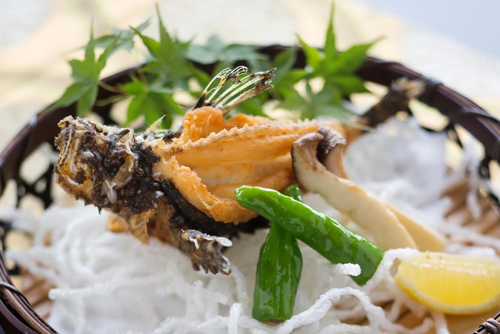 Dinner in Migiwatei Ochi Kochi