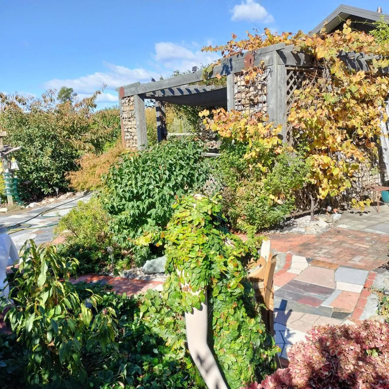 Redwood Valley B & B