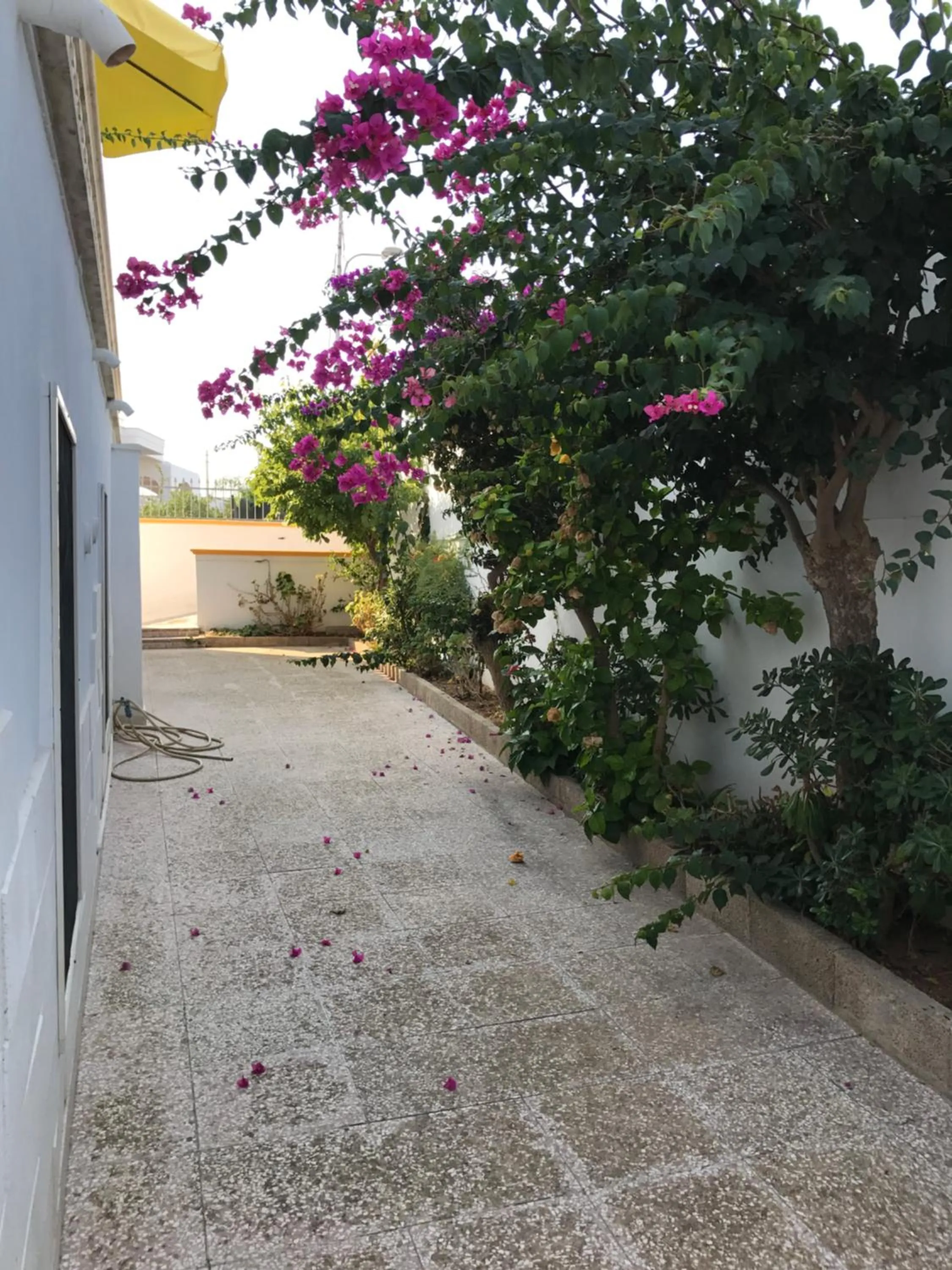 Garden in Albergo Europa