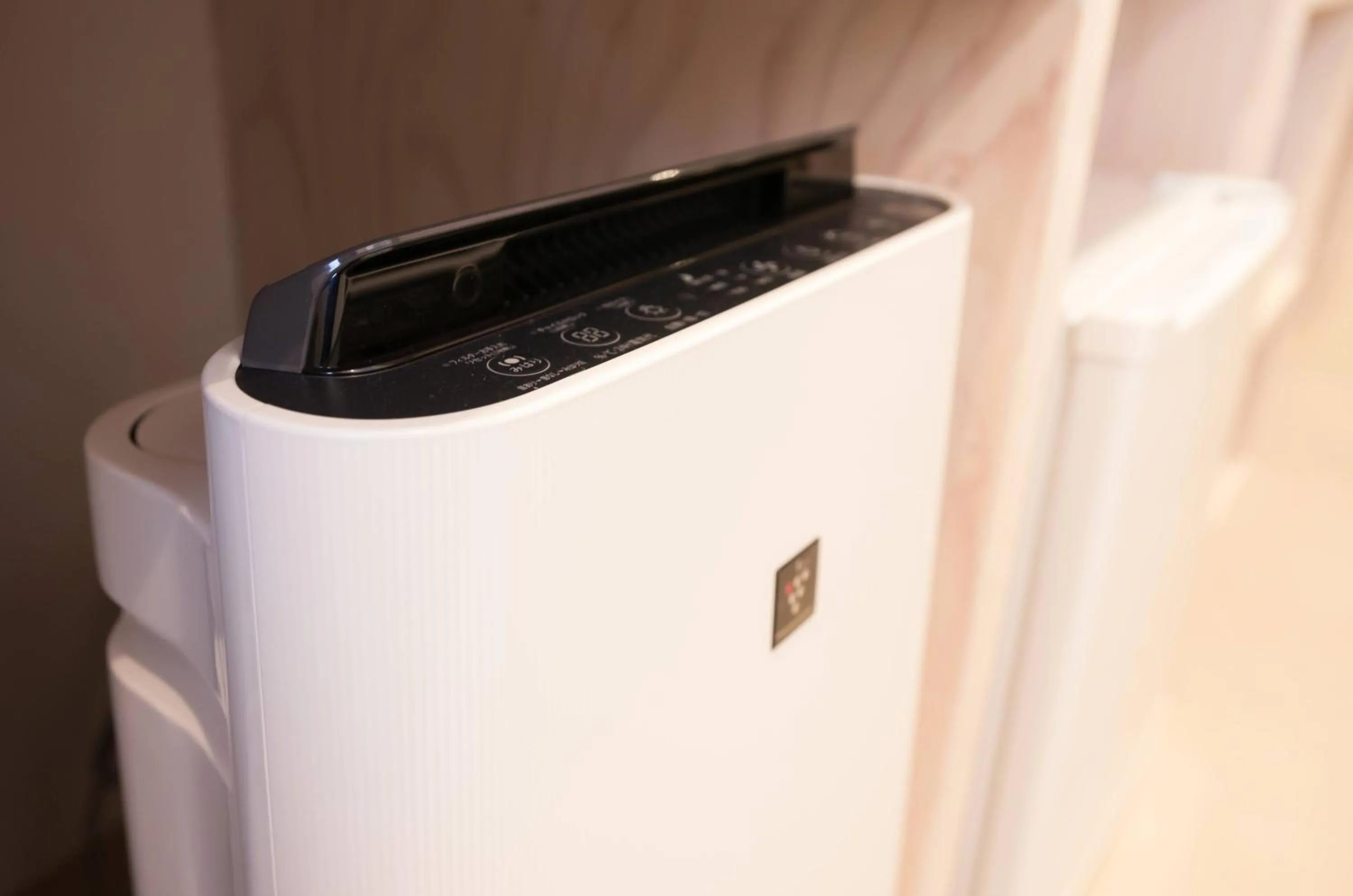 Decorative detail in Horikawa Hostel