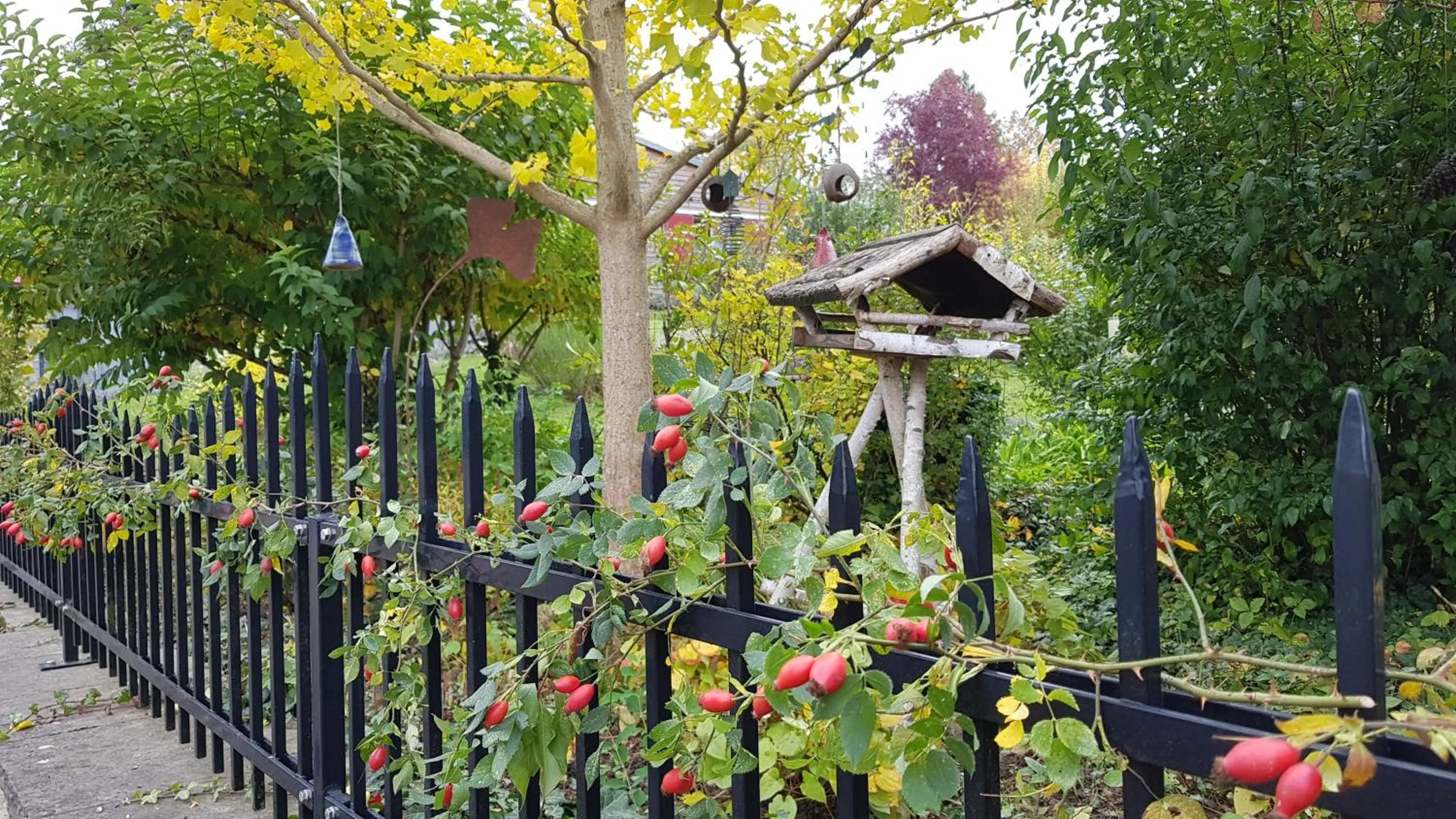 Facade/entrance in Hotel KAMPS