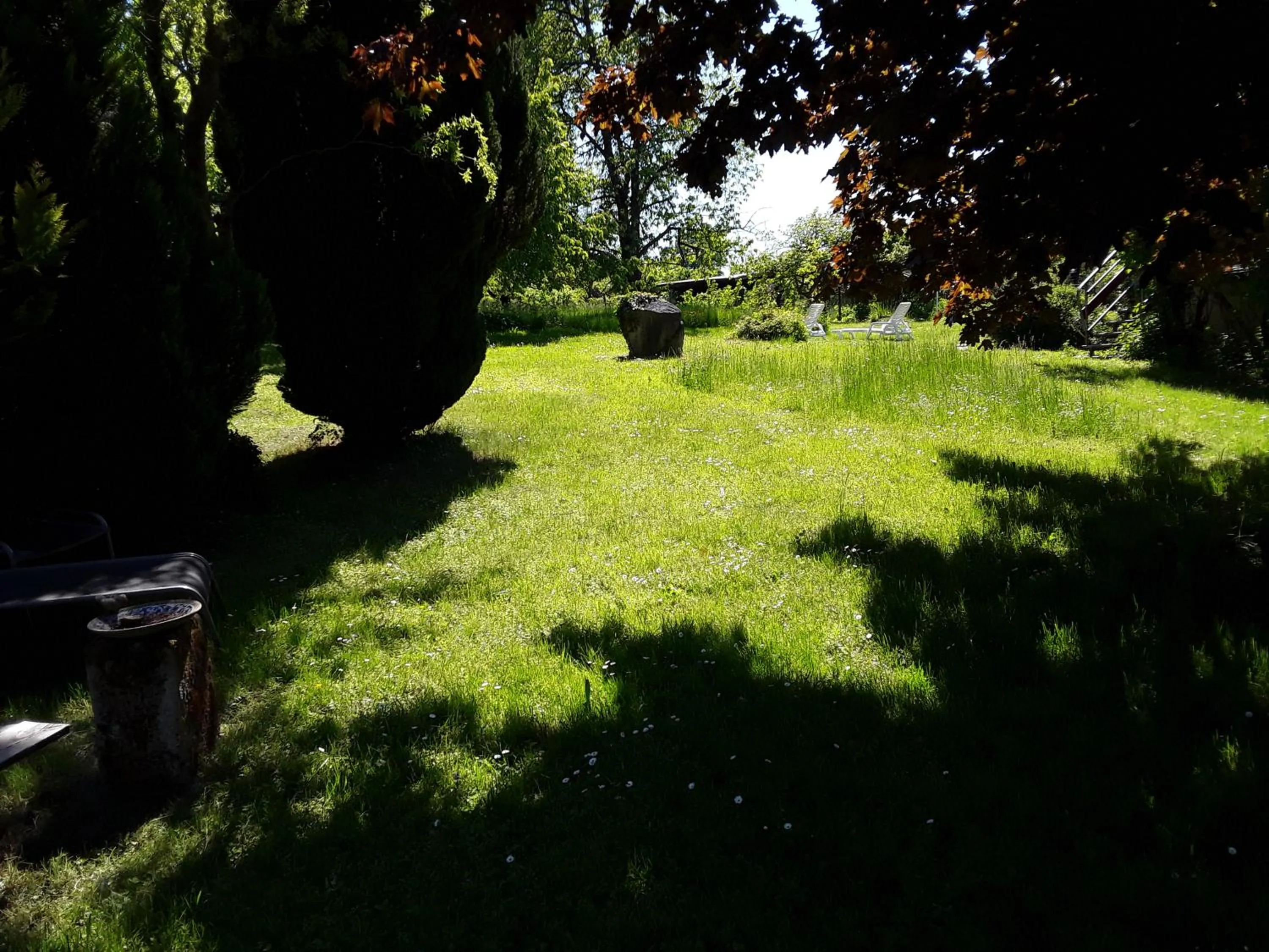 Garden in Hotel KAMPS