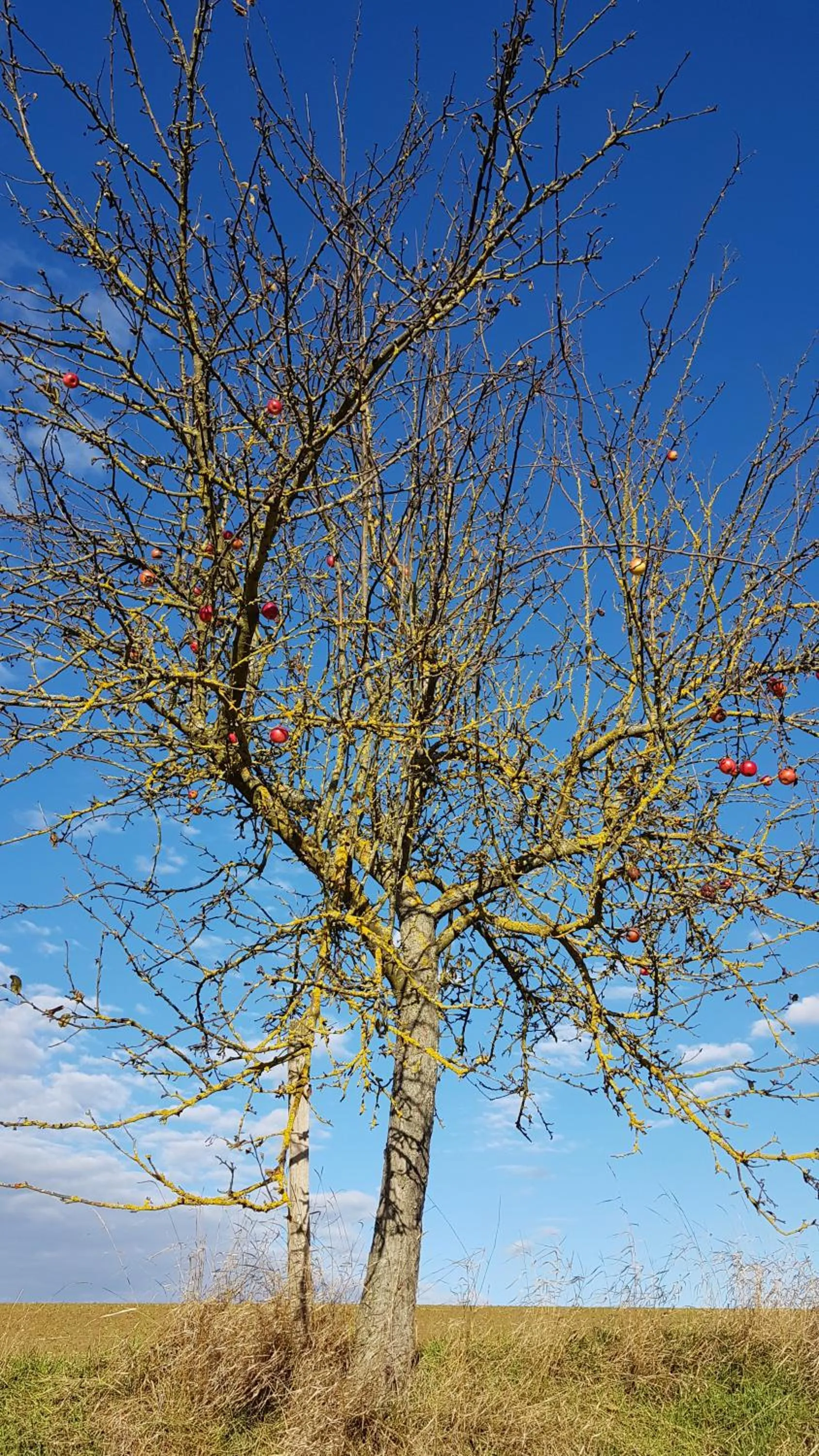 Hiking in Hotel KAMPS