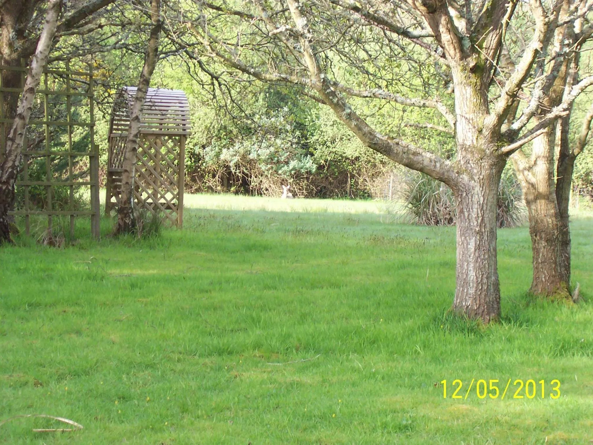 Garden in Jonti Bed And Breakfast