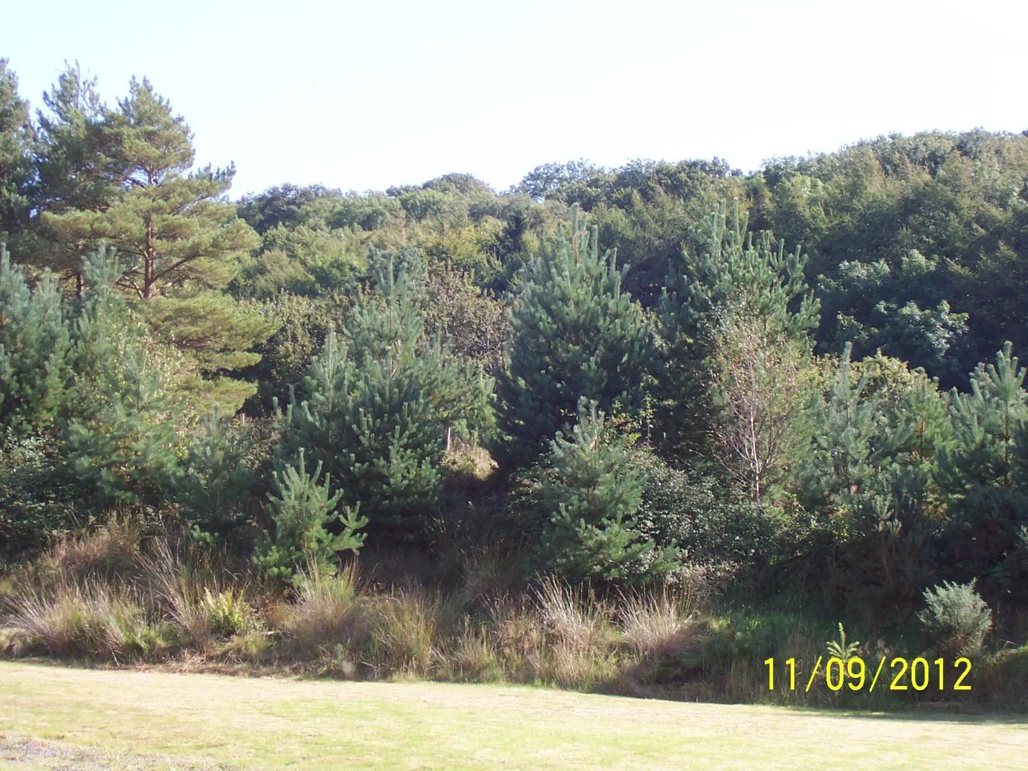 Garden view in Jonti Bed And Breakfast